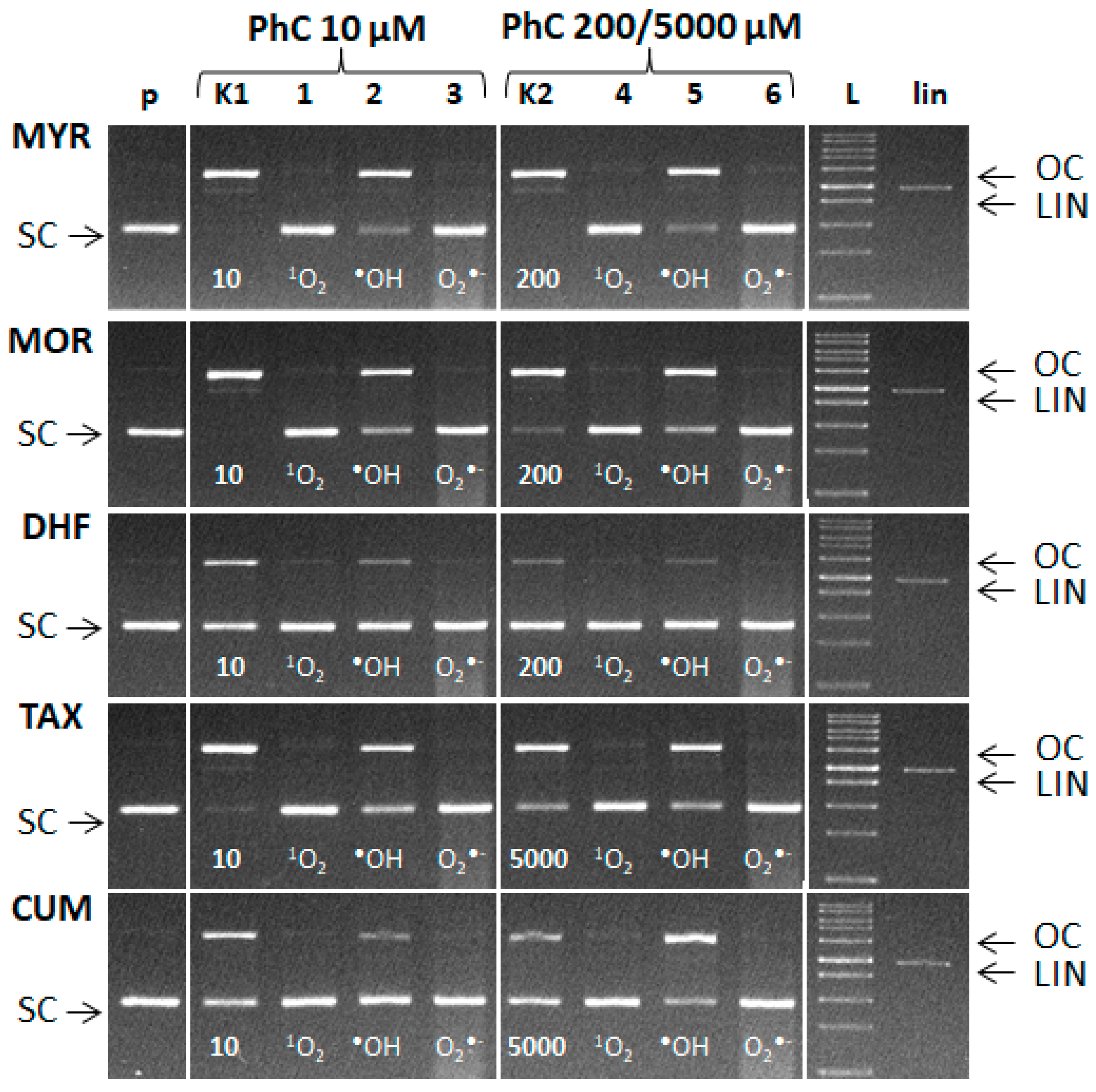 Molecules 24 04335 g011 Molecules 24 04335 g011