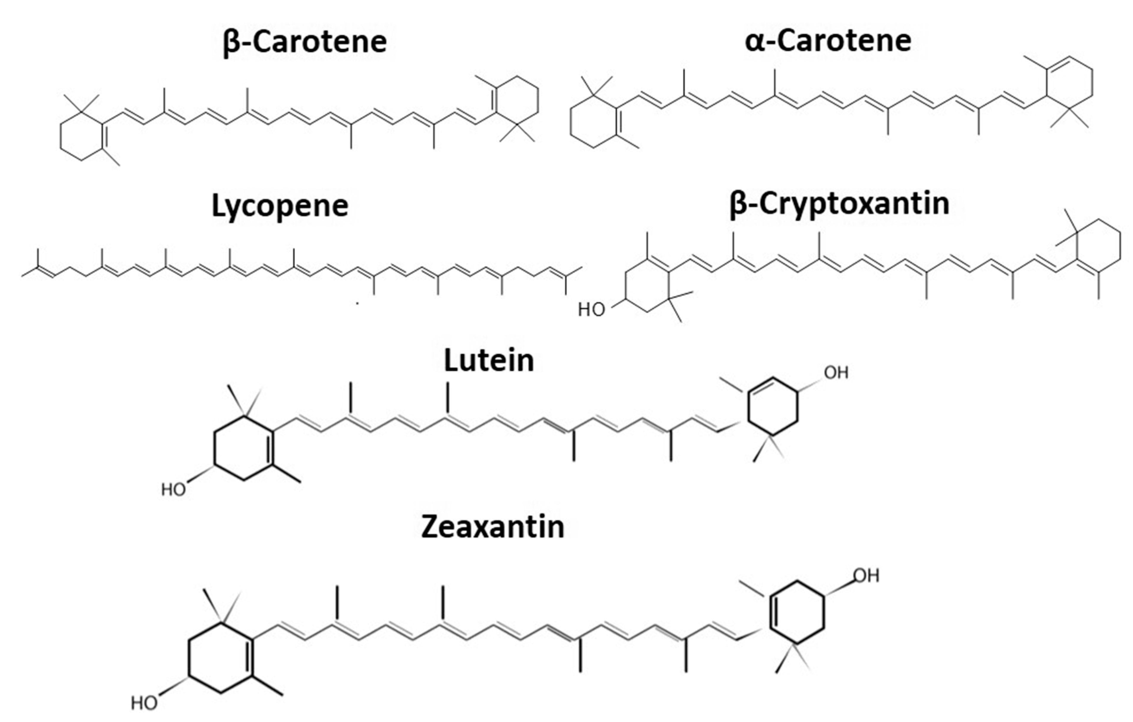 Molecules 24 04339 g001