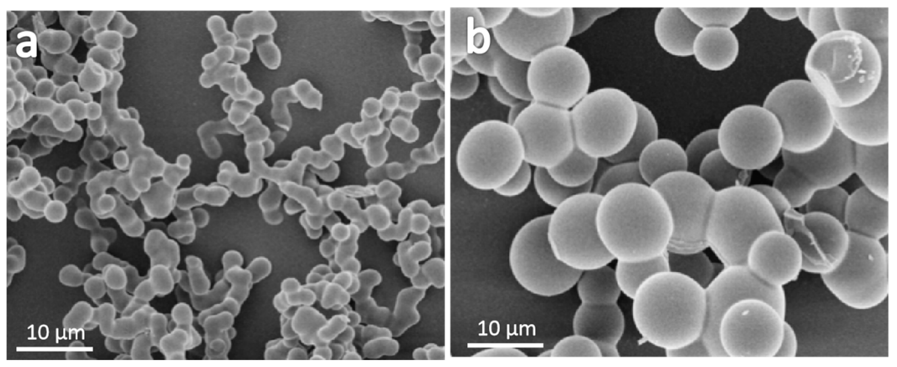 Molecules 24 04366 g005