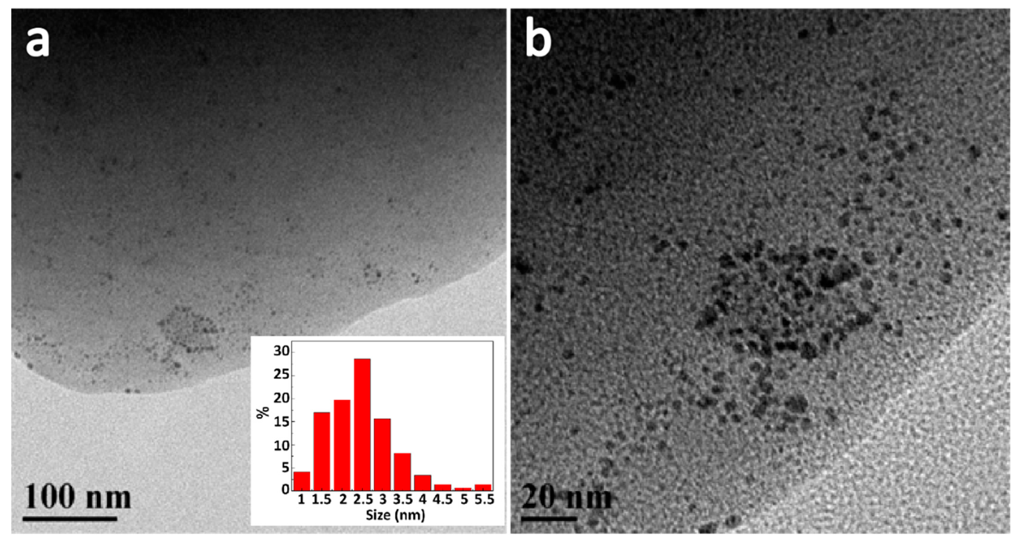 Molecules 24 04366 g006