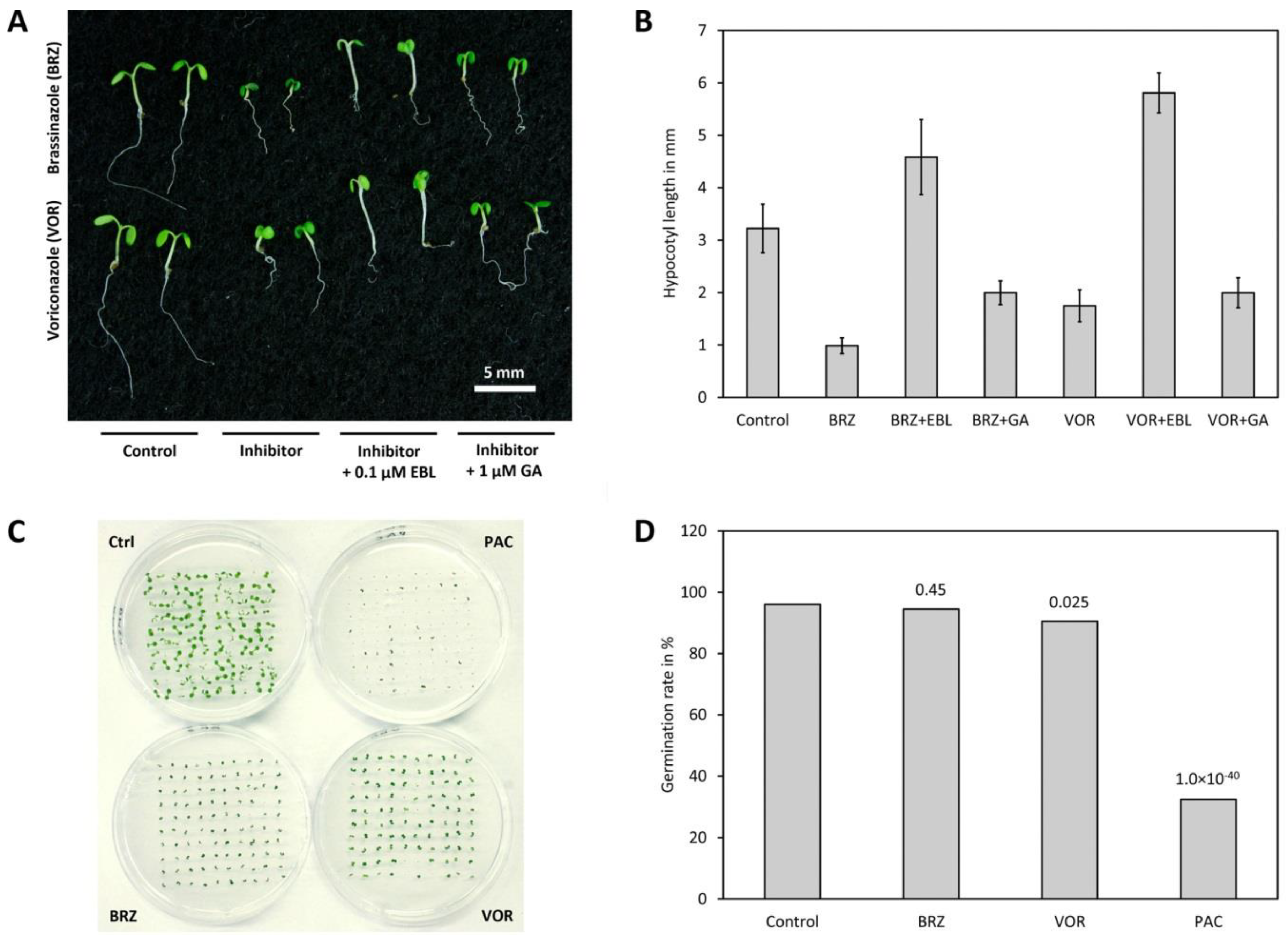Molecules 24 04372 g005
