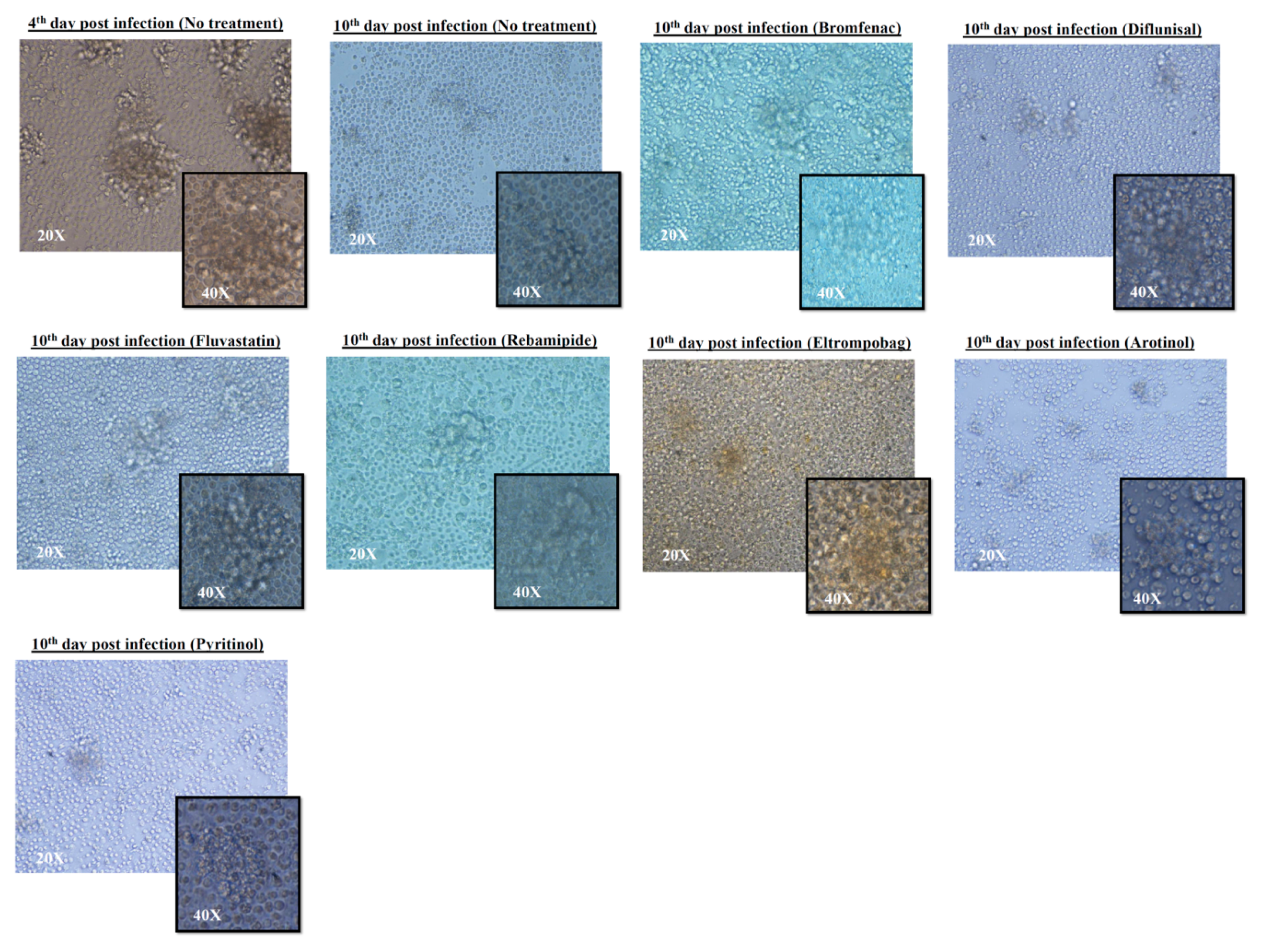 Molecules 24 04373 g004 Molecules 24 04373 g004