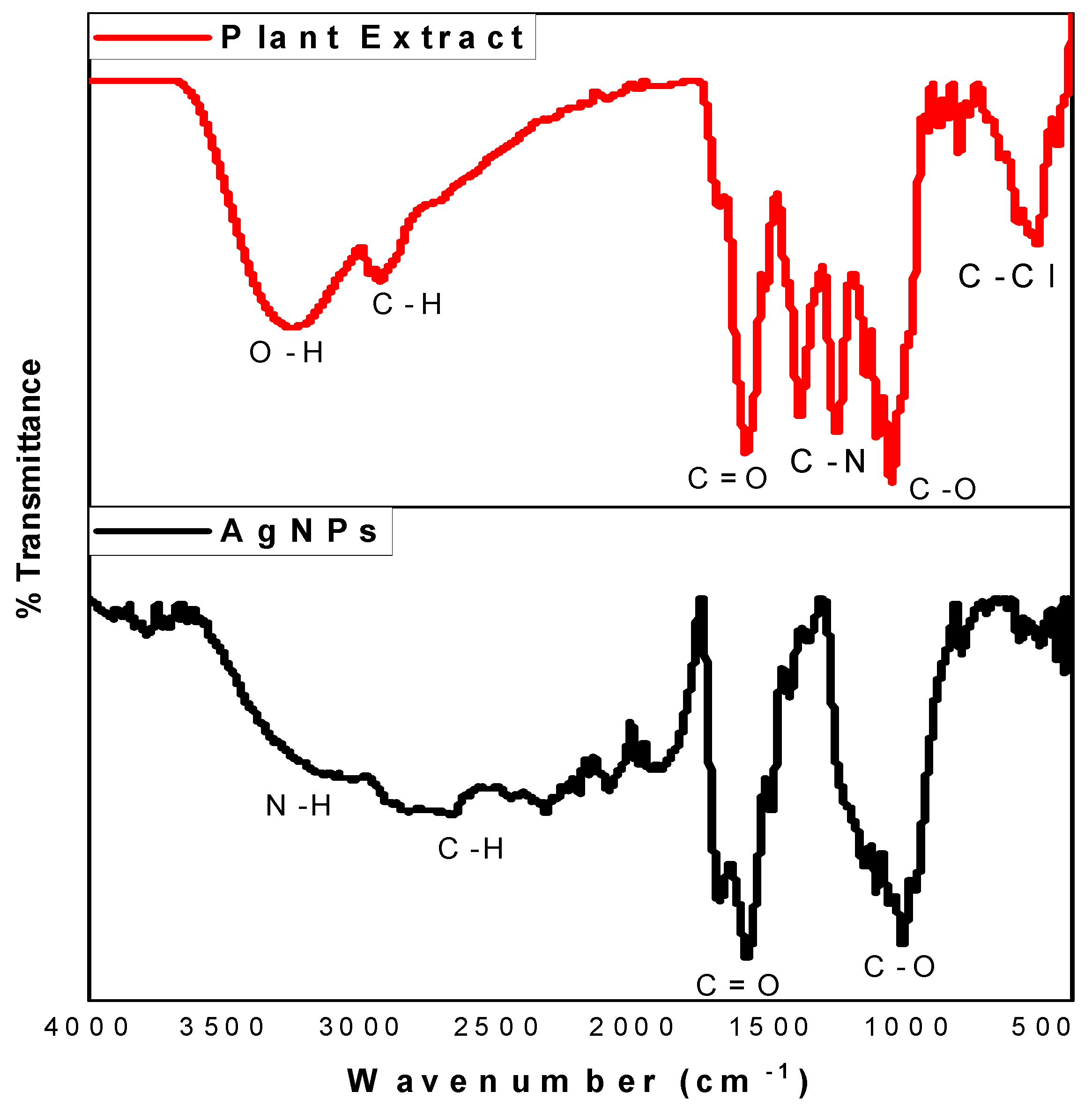 Molecules 24 04382 g002