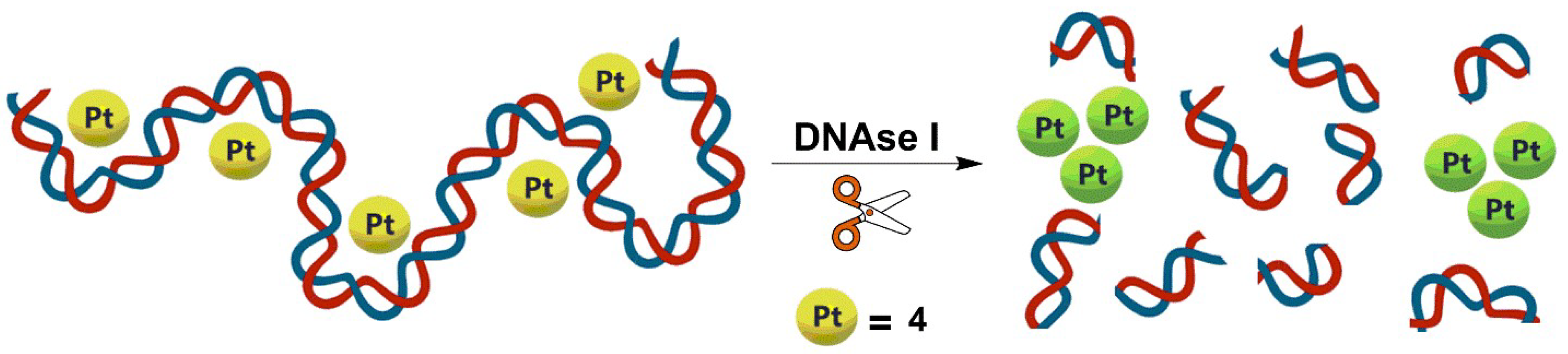 Molecules 24 04390 g003