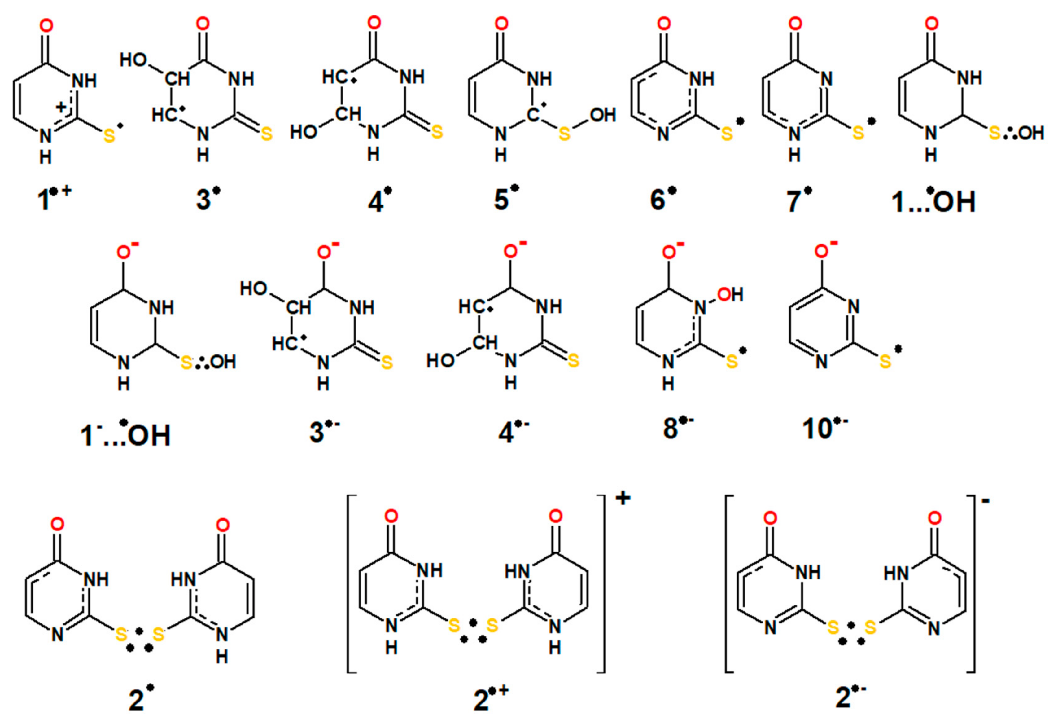 Molecules 24 04402 sch003