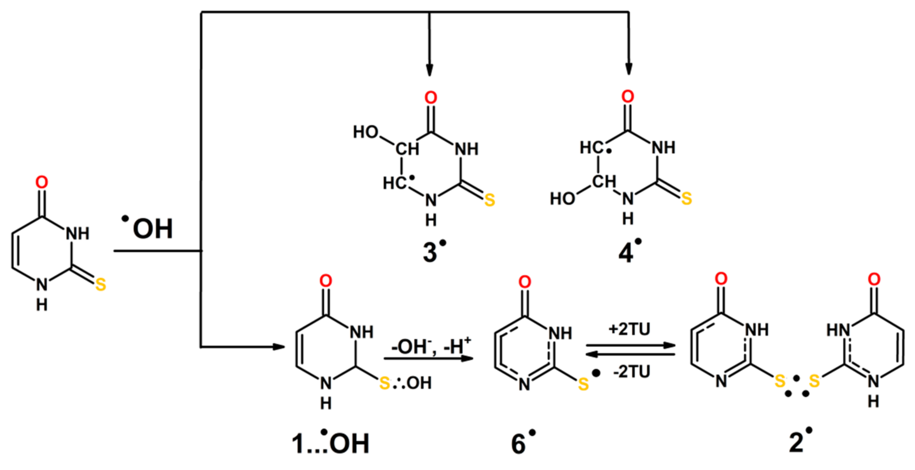 Molecules 24 04402 sch004