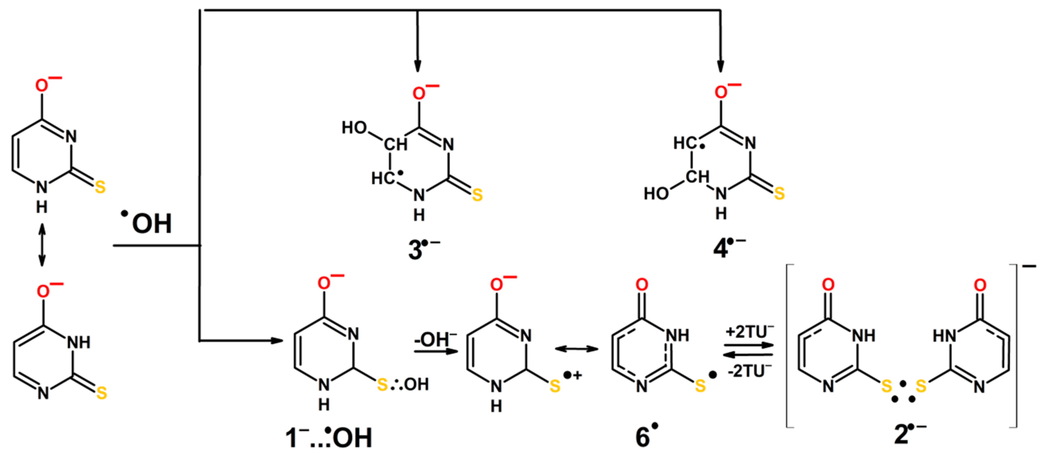 Molecules 24 04402 sch005