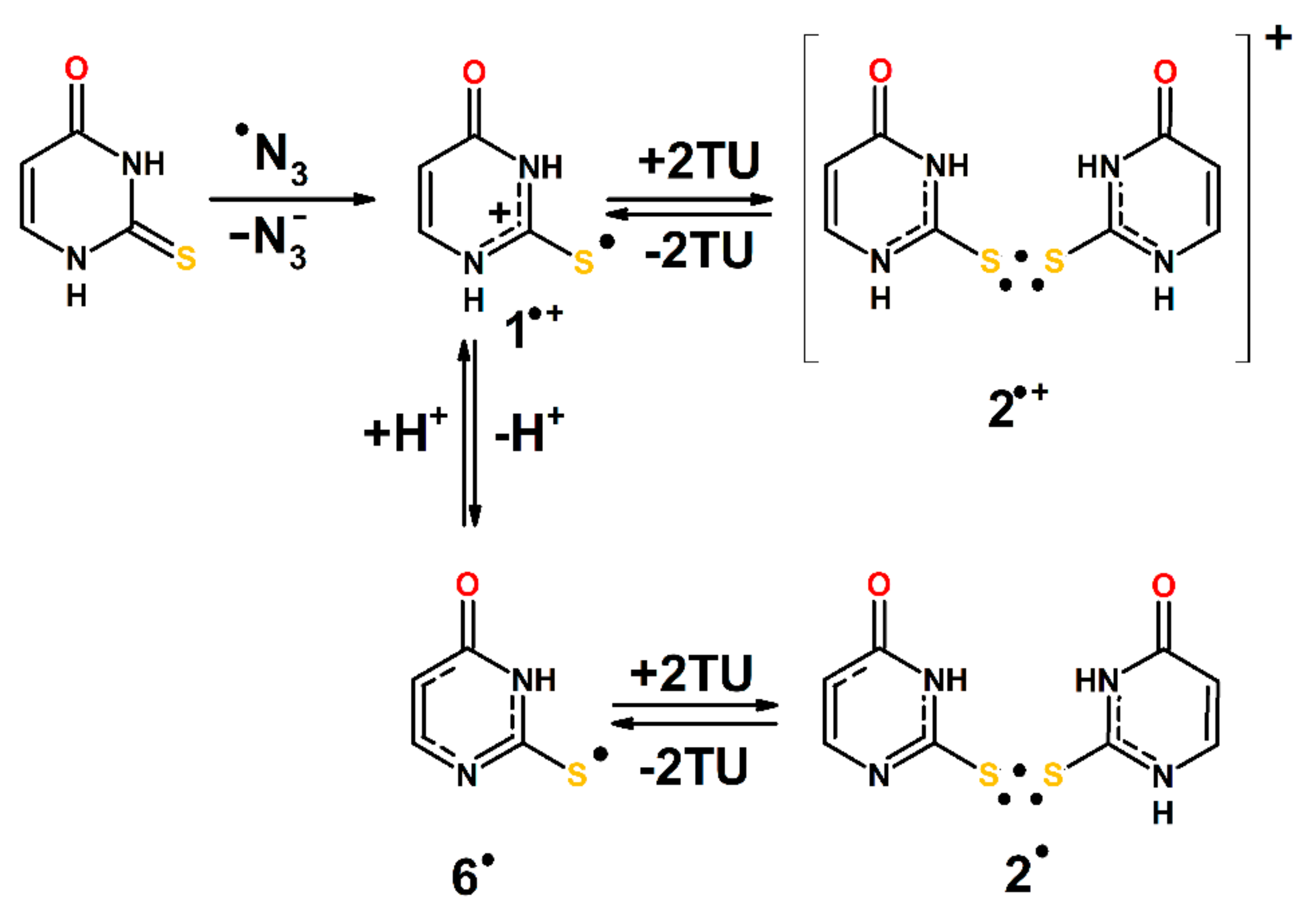 Molecules 24 04402 sch006