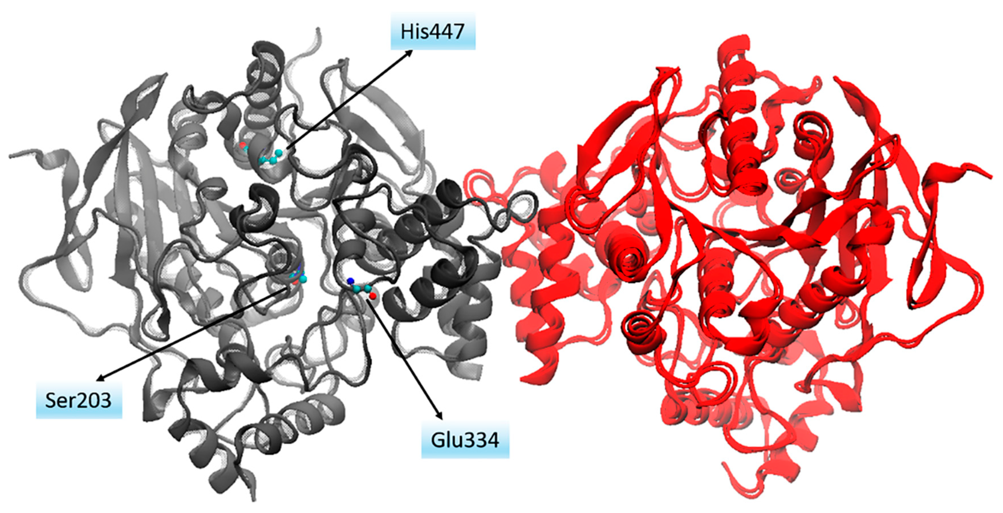 Molecules 24 04410 g002 Molecules 24 04410 g002