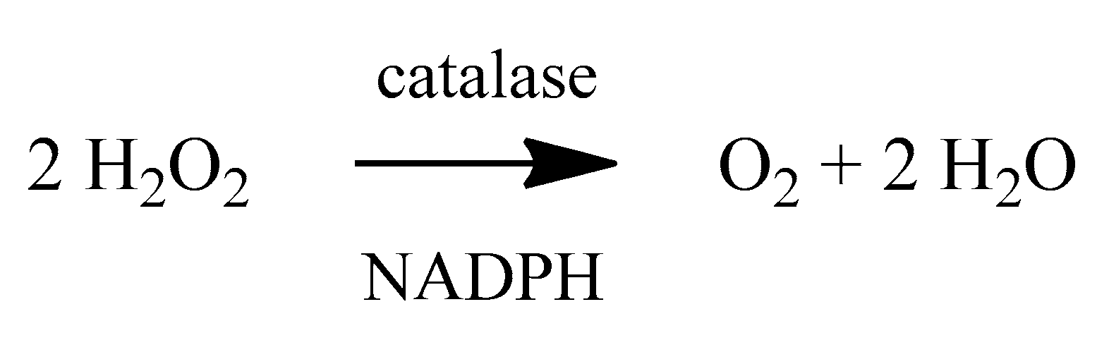 Molecules 24 04410 sch003 Molecules 24 04410 sch003