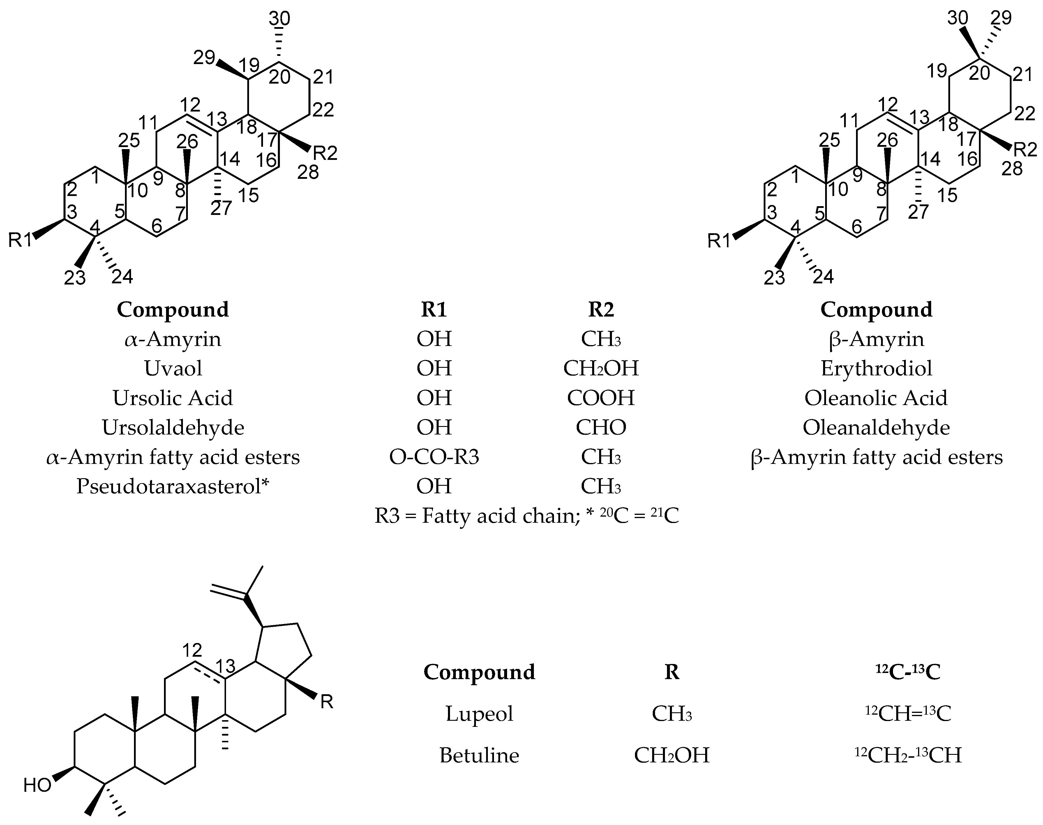 Molecules 24 04413 g002