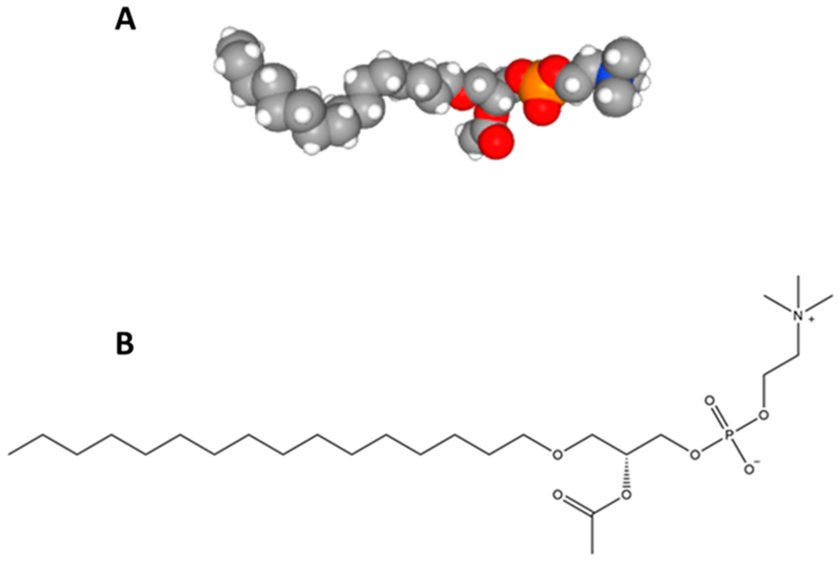 Molecules 24 04414 g001 Molecules 24 04414 g001