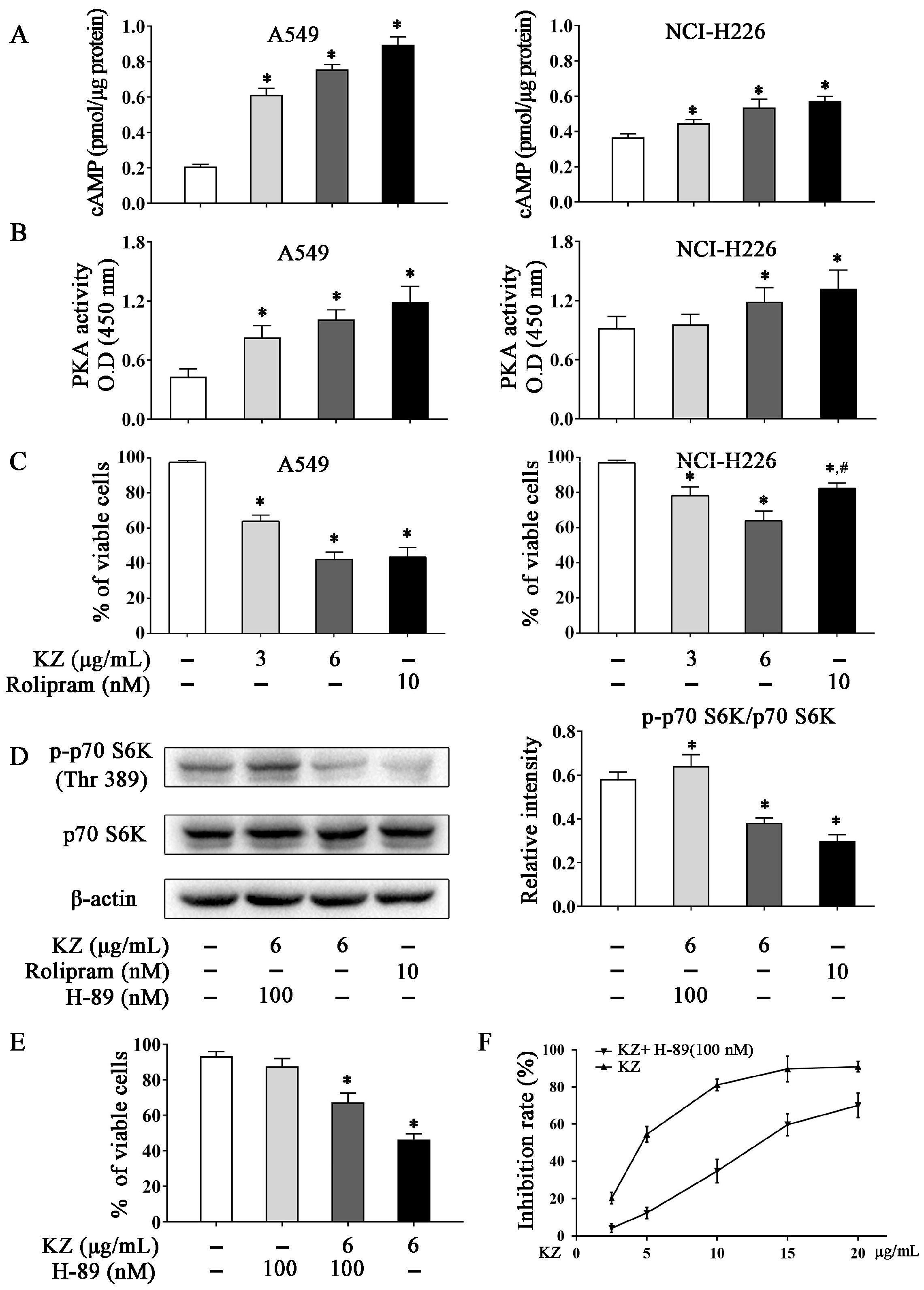 Molecules 24 04425 g005