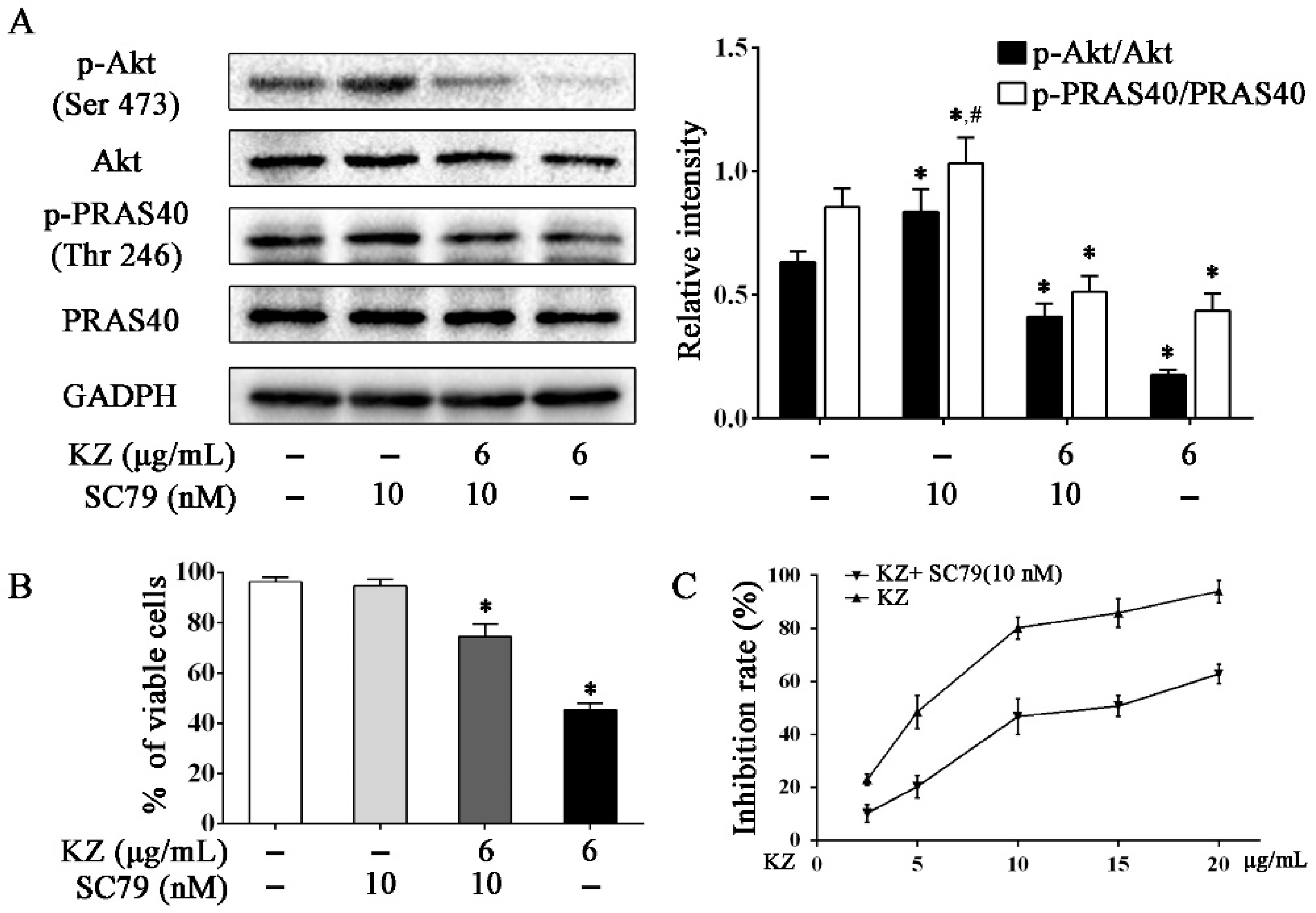 Molecules 24 04425 g006