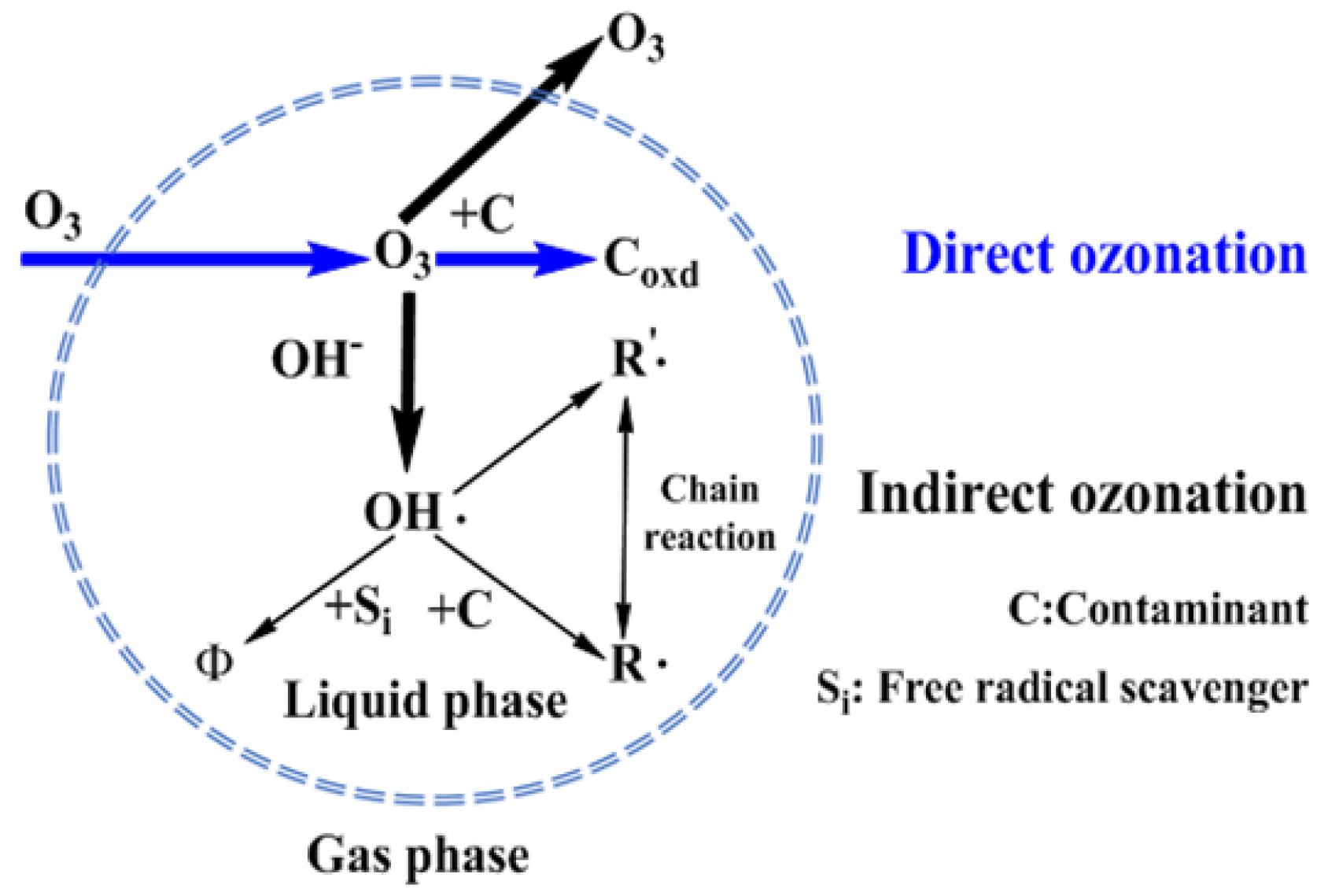 Molecules 24 04436 g005