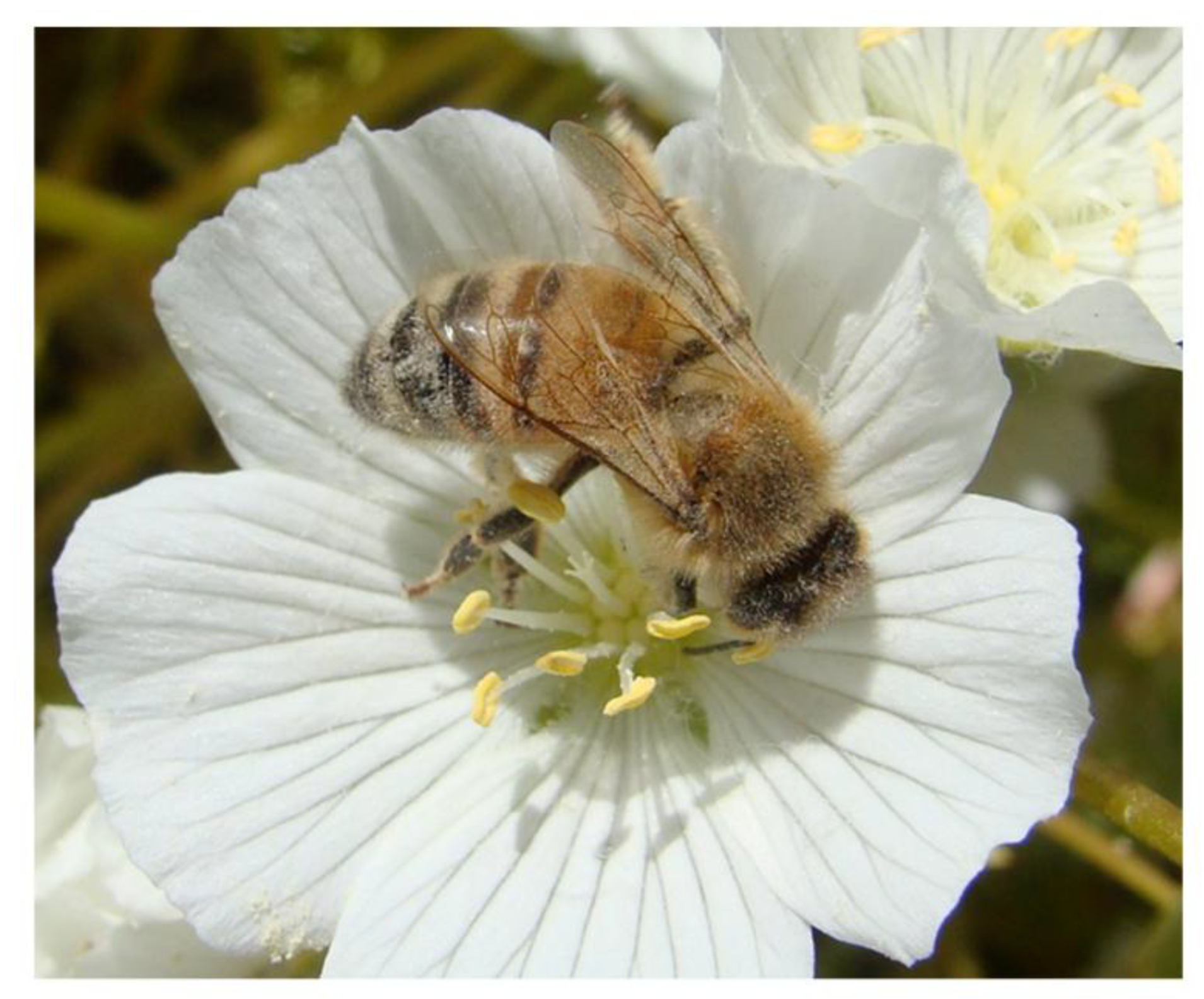 Molecules 24 04458 g001