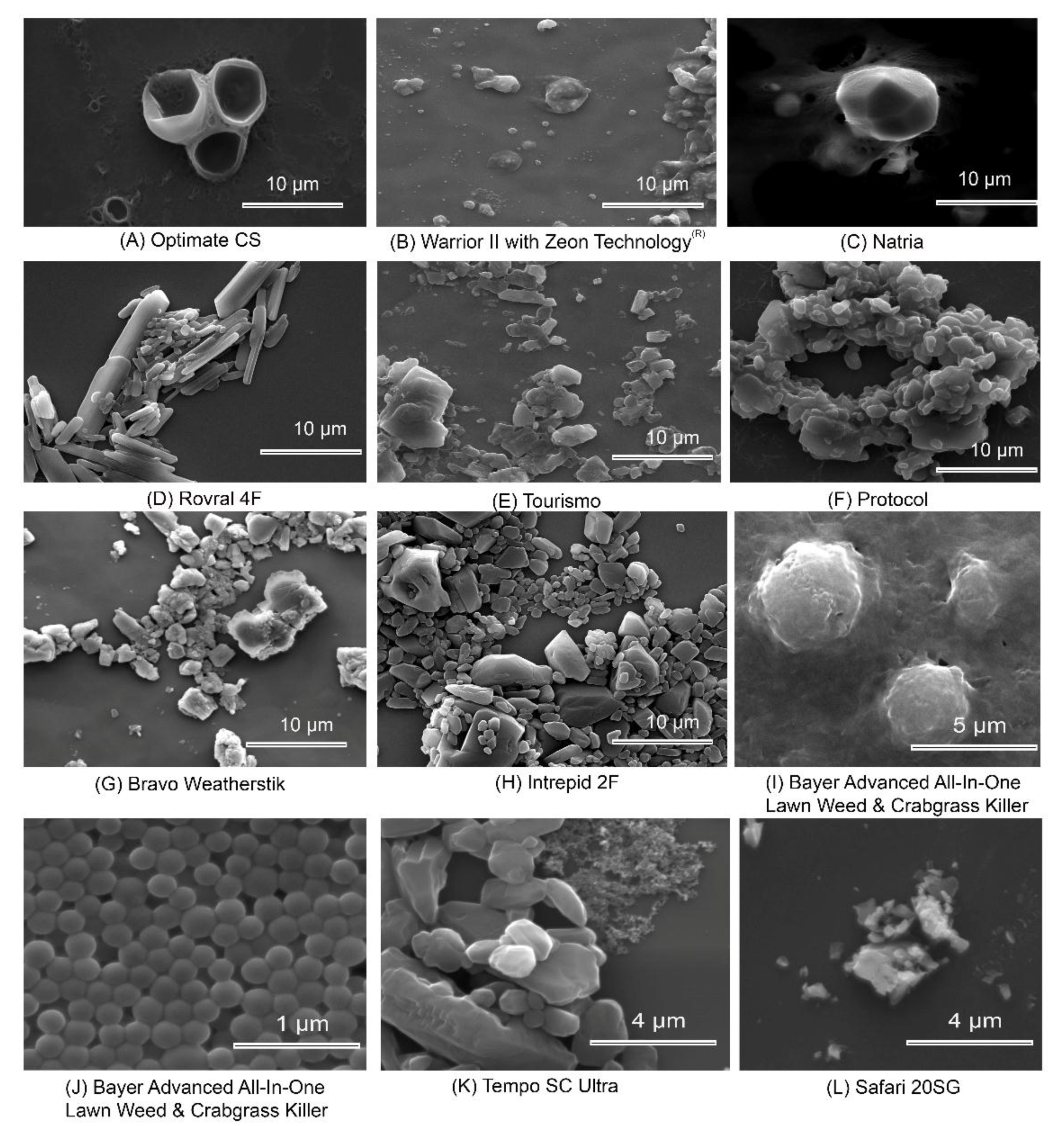 Molecules 24 04458 g004