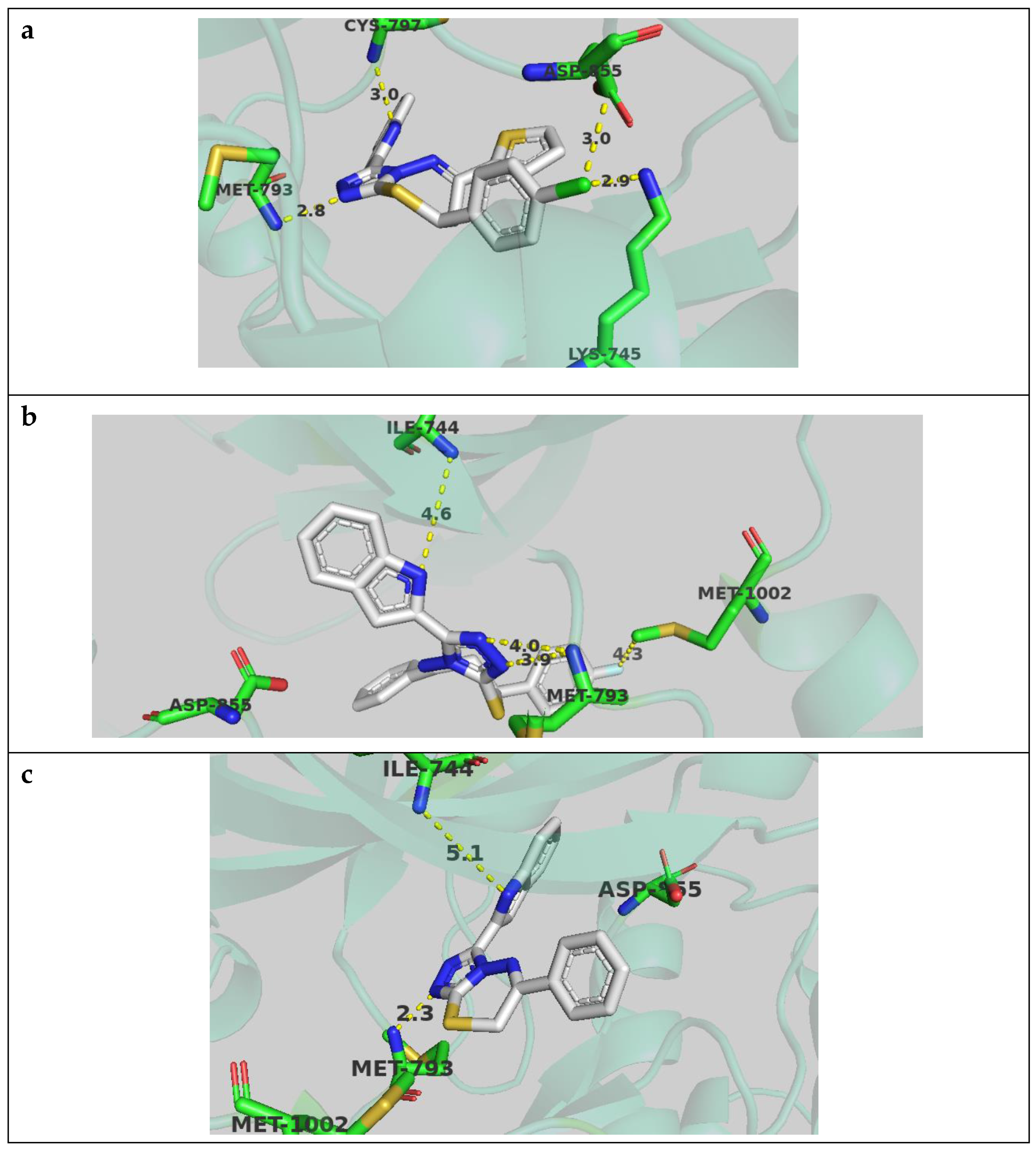 Molecules 24 04471 g005