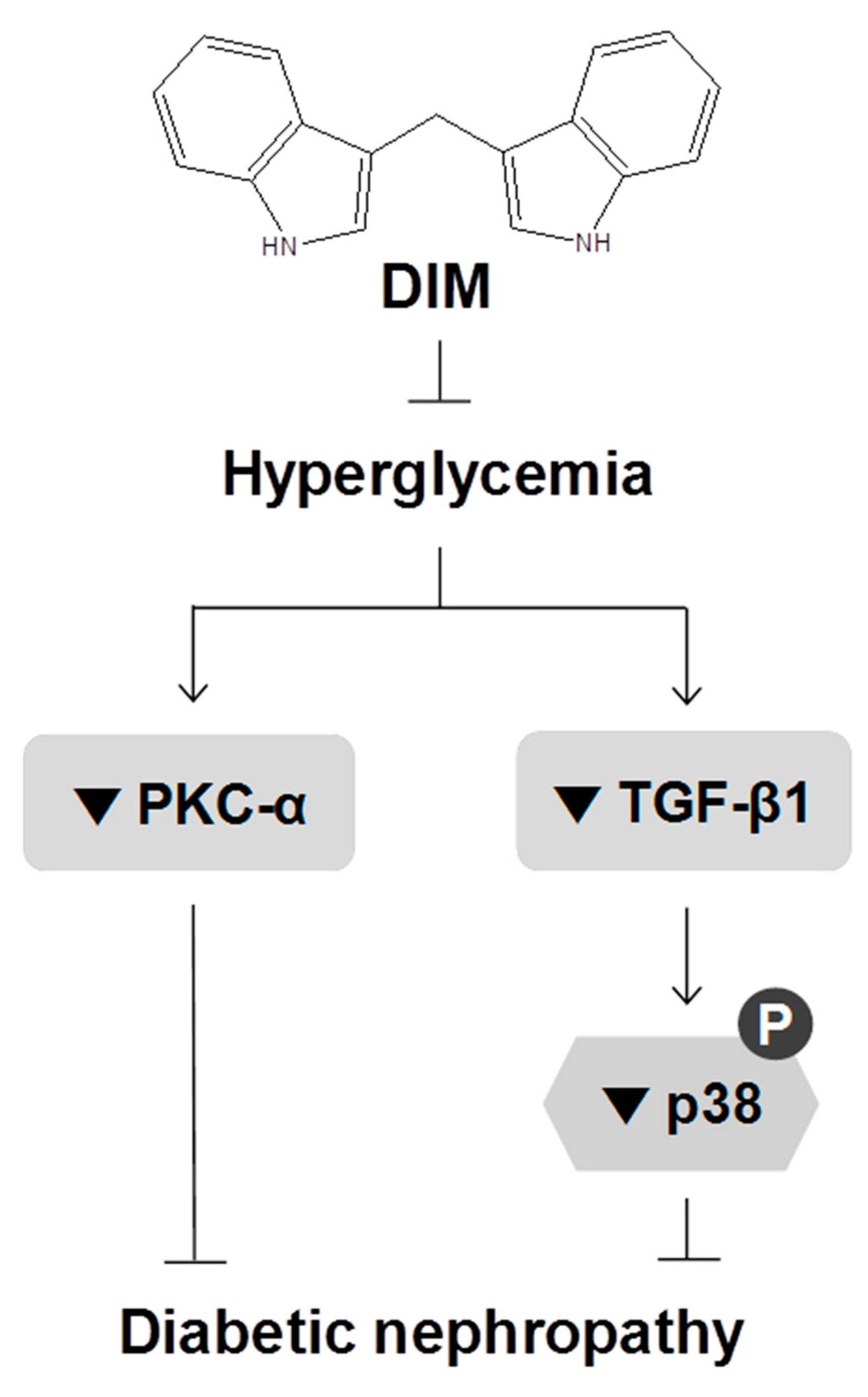Molecules 24 04474 g004