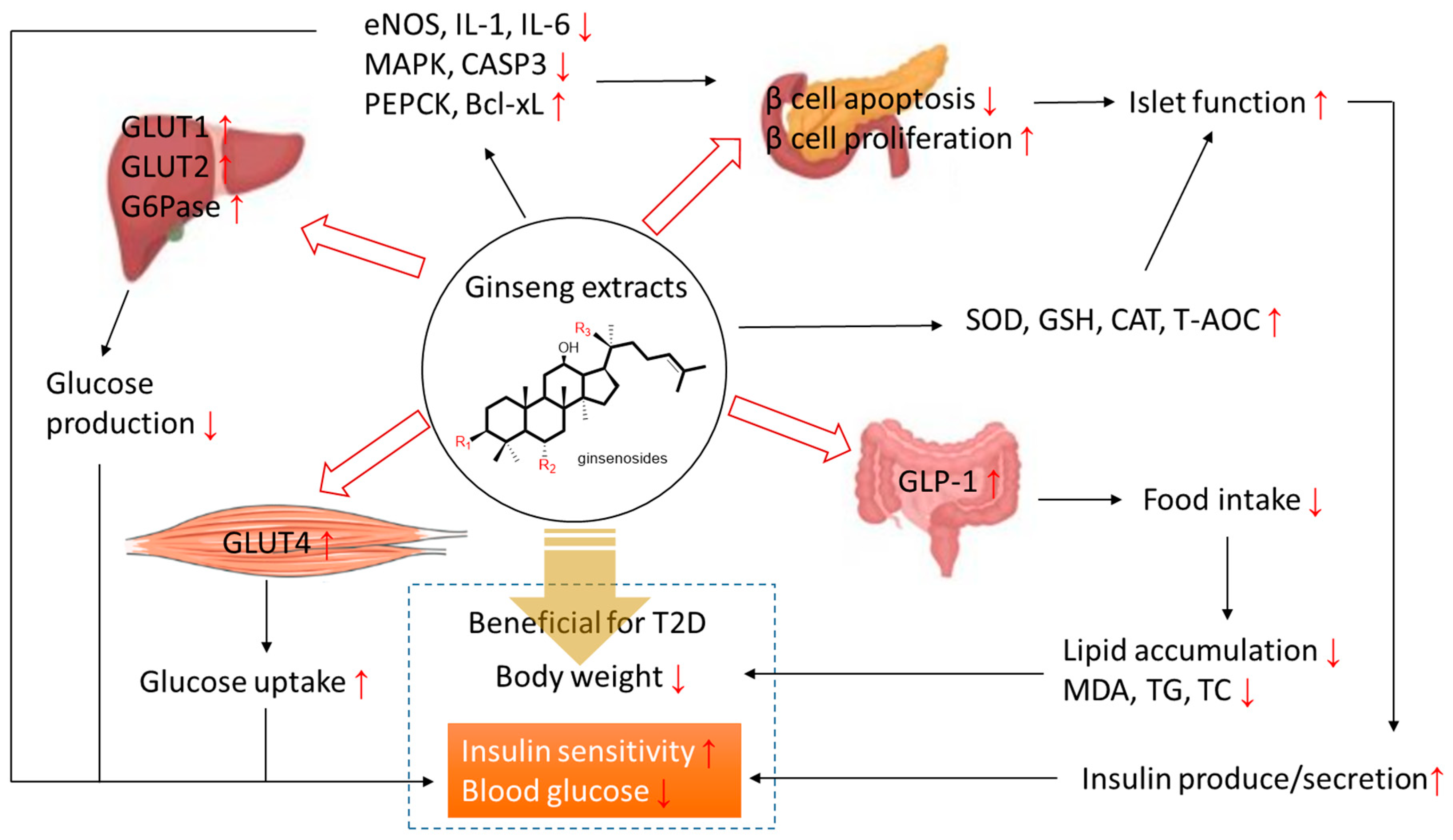 Molecules 24 04501 g002