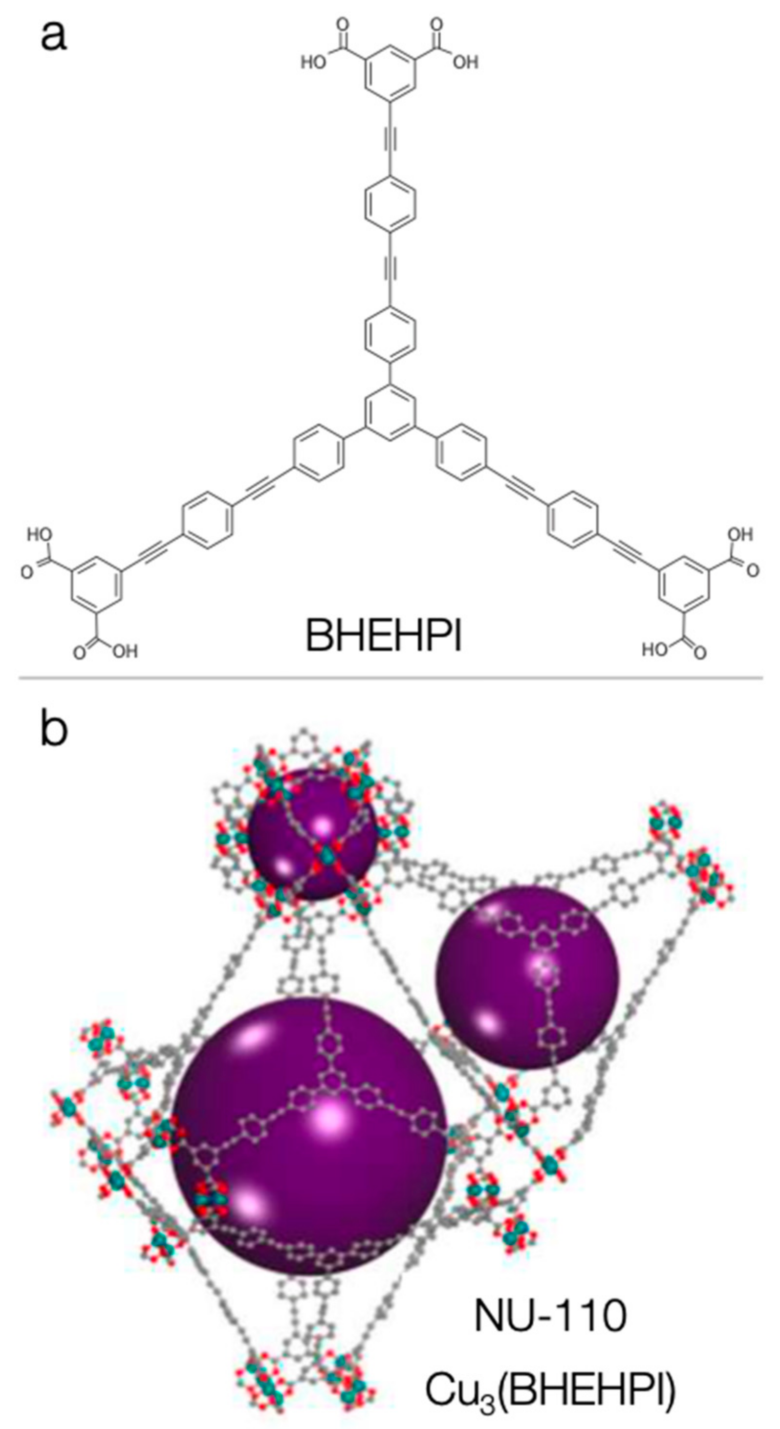 Molecules 24 04525 g007