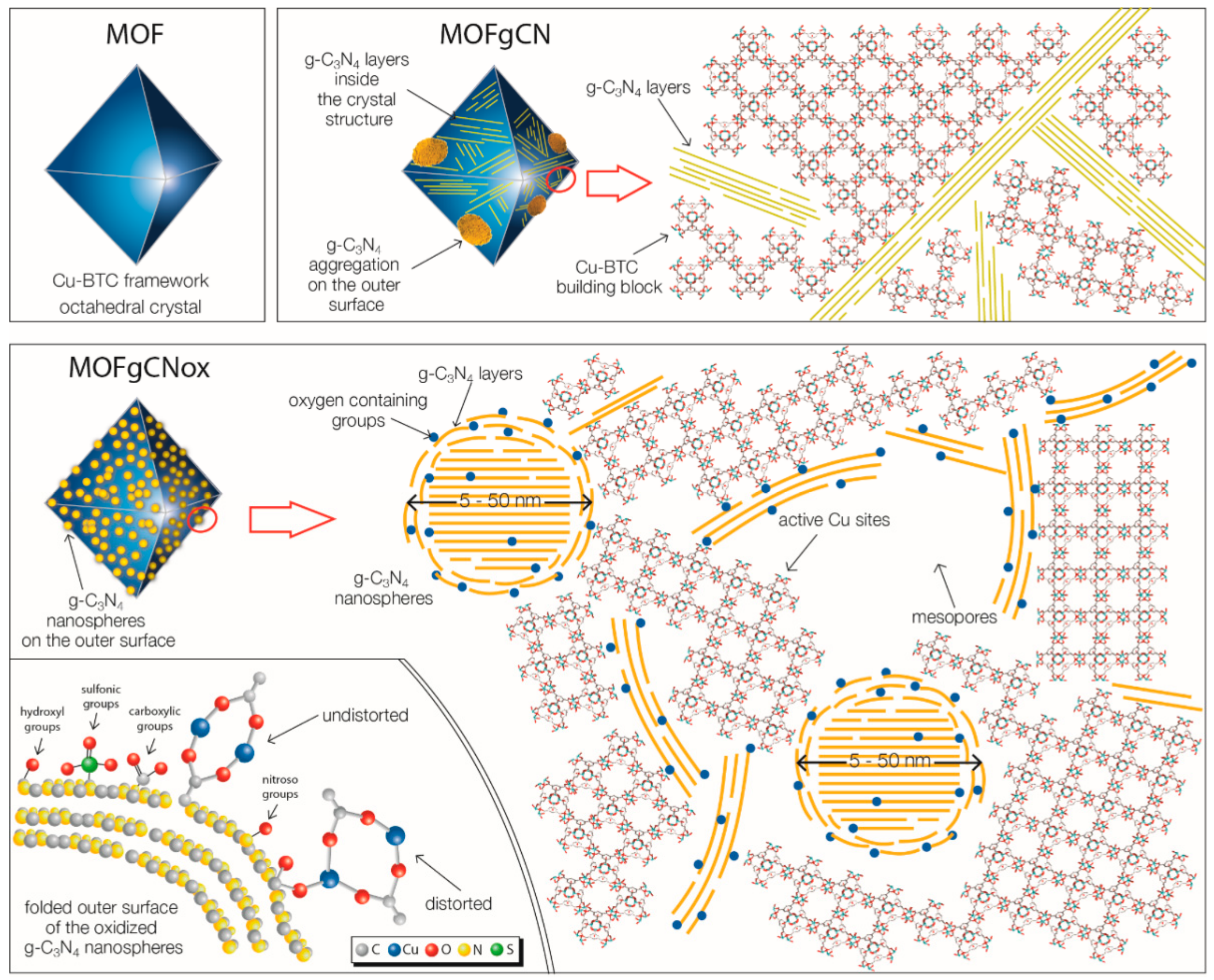 Molecules 24 04525 g008
