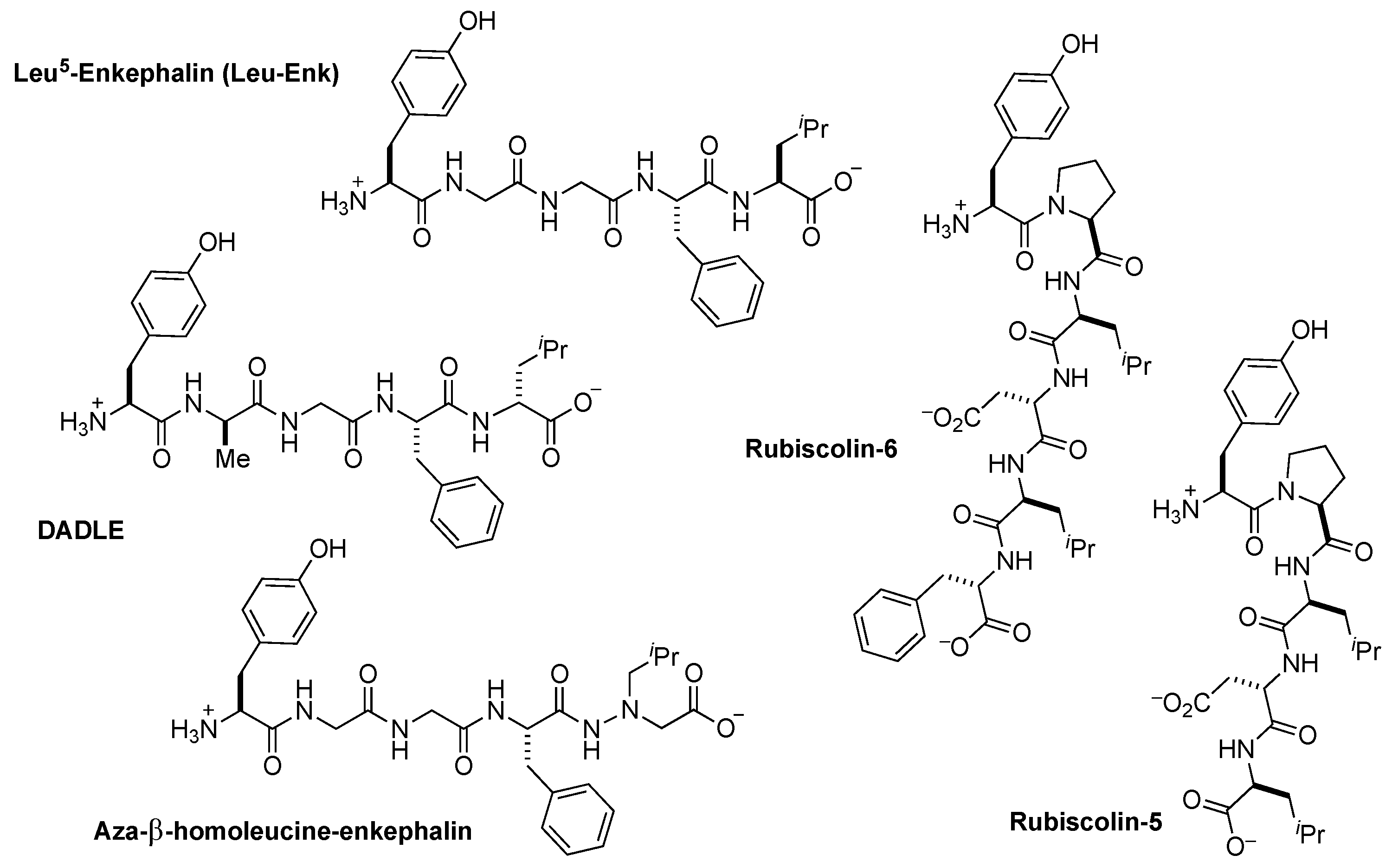 Molecules 24 04542 g001