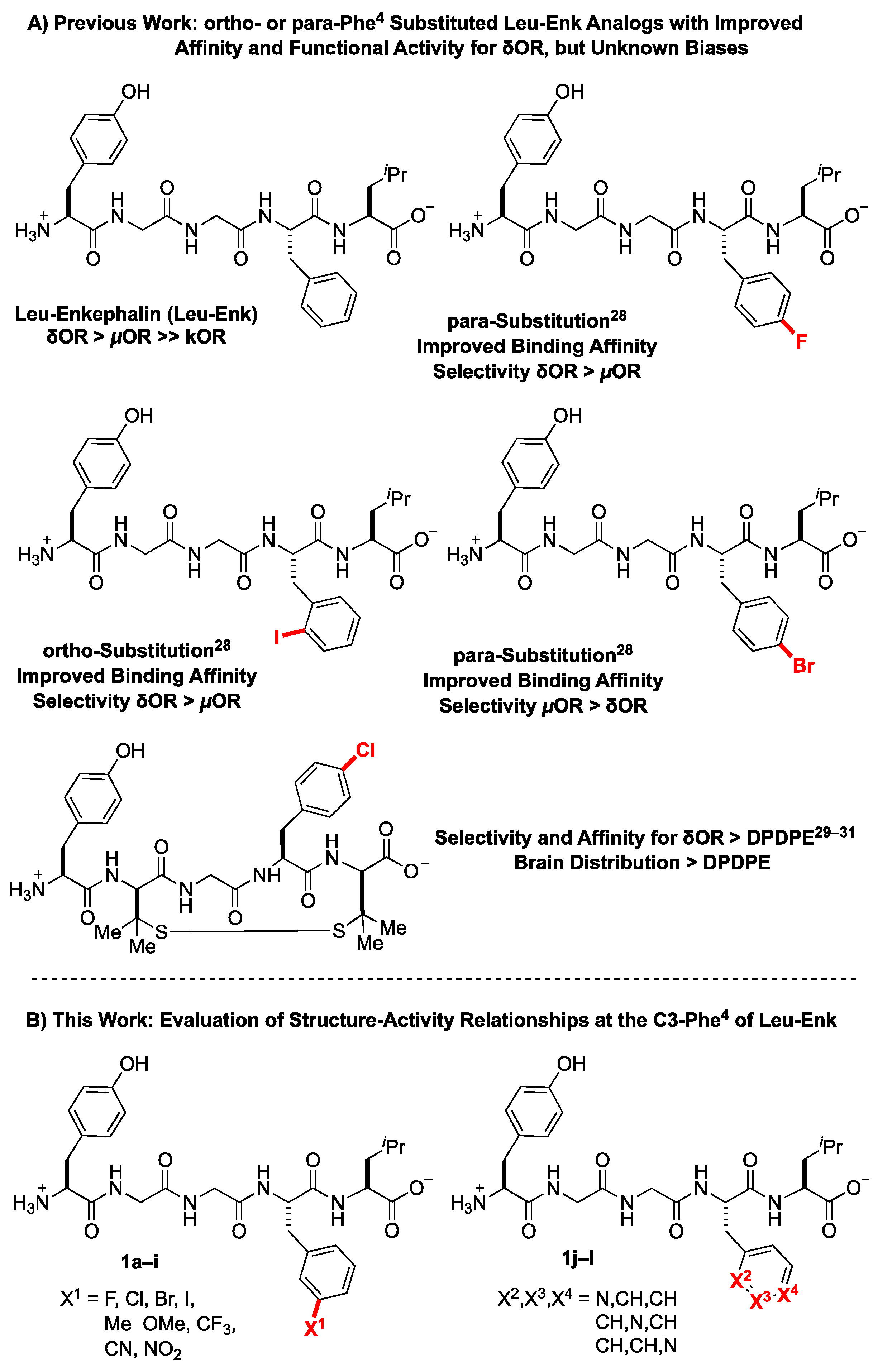 Molecules 24 04542 g002