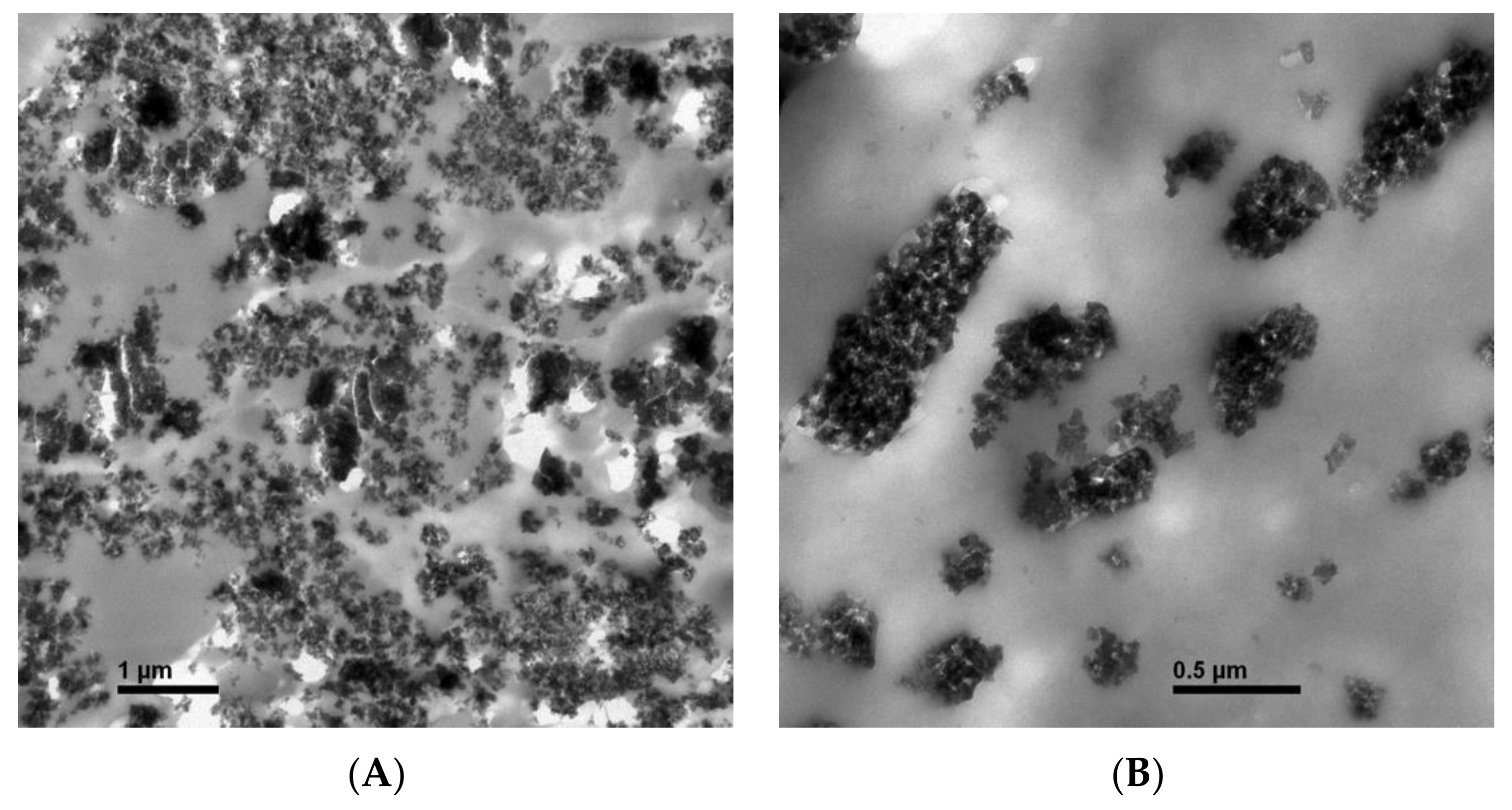 Molecules 24 04552 g001