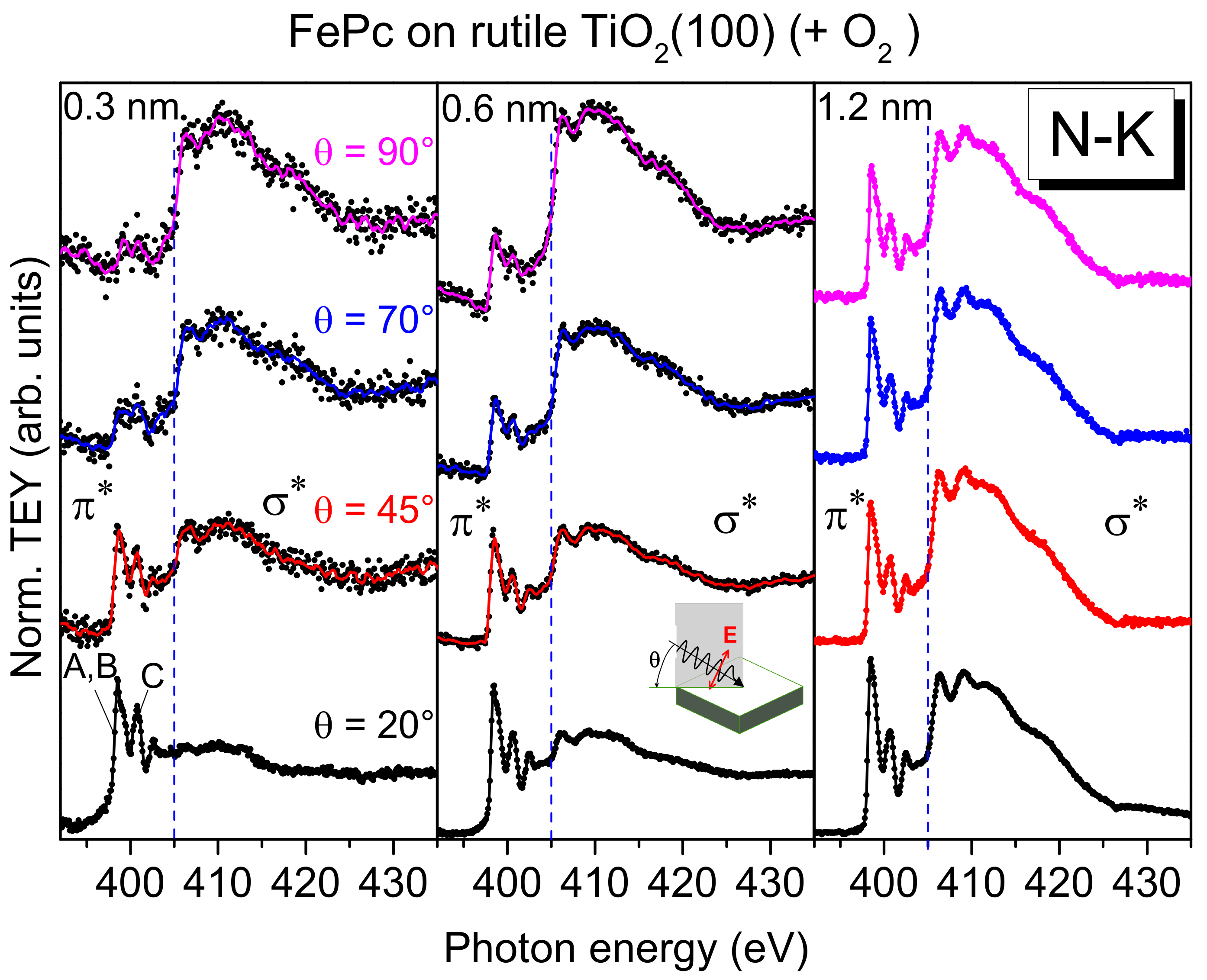 Molecules 24 04579 g006