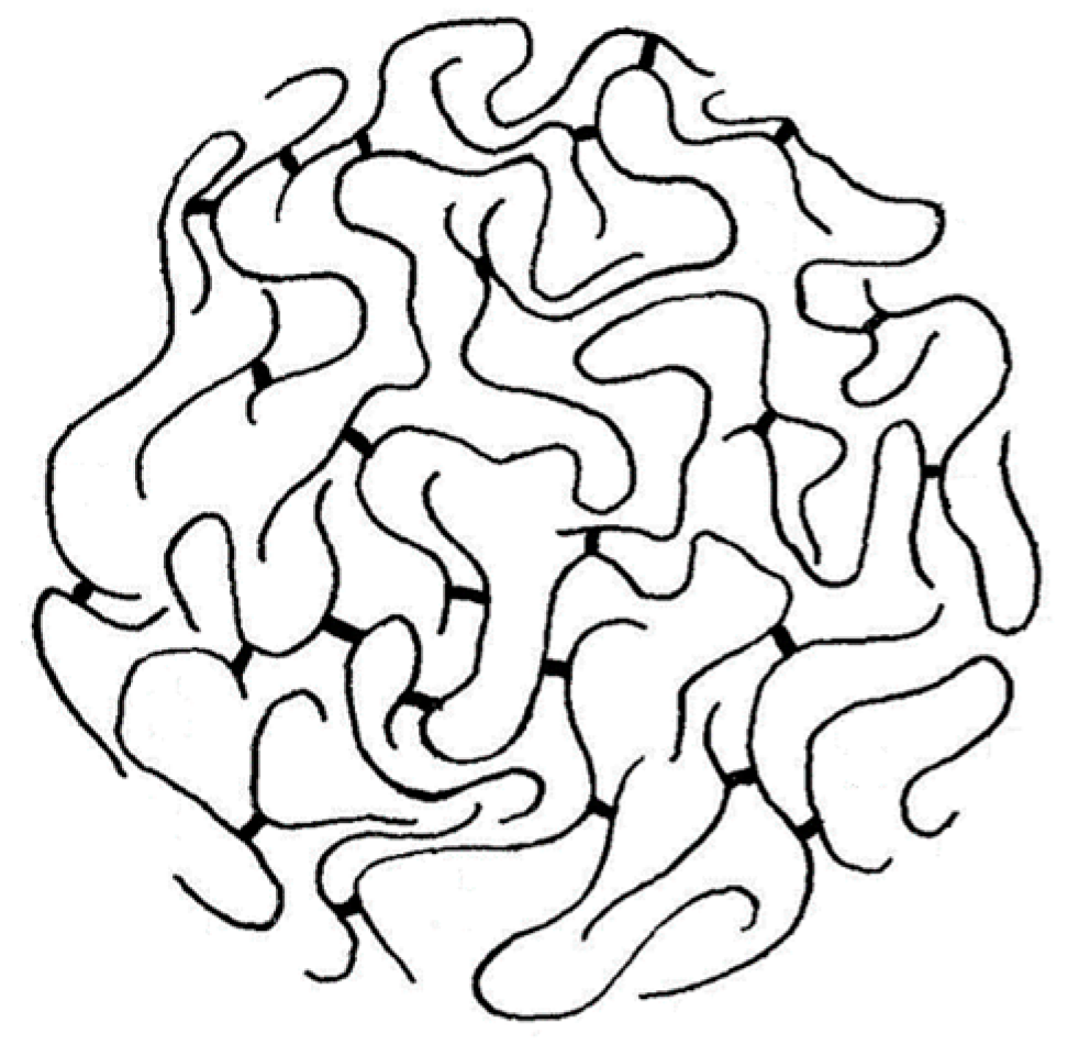 Molecules 24 04611 g001