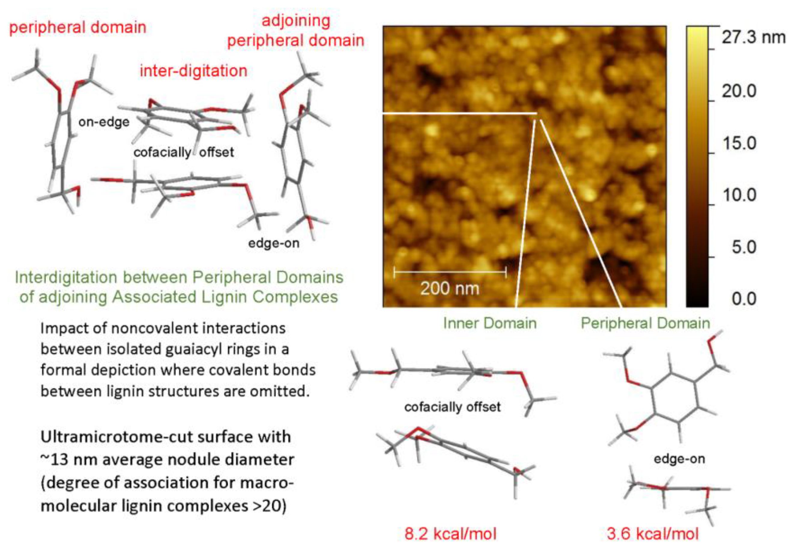 Molecules 24 04611 g006
