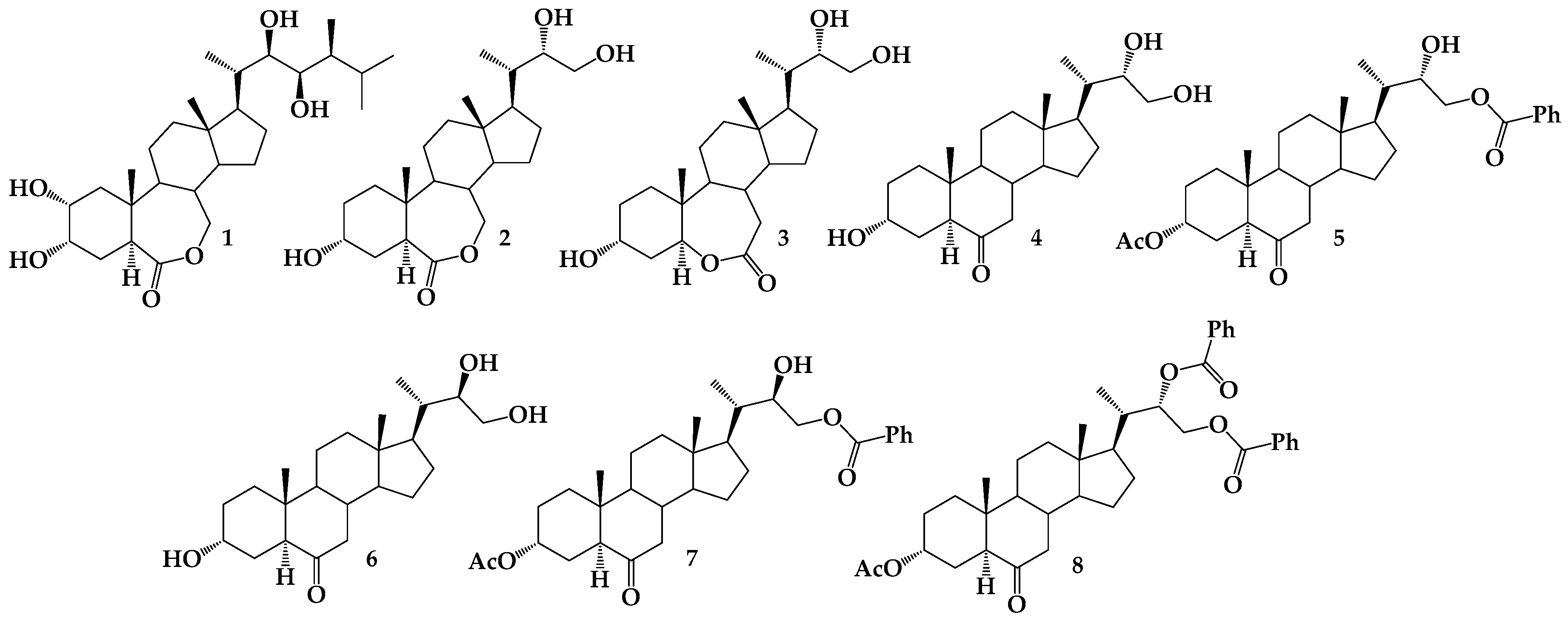 Molecules 24 04612 g001