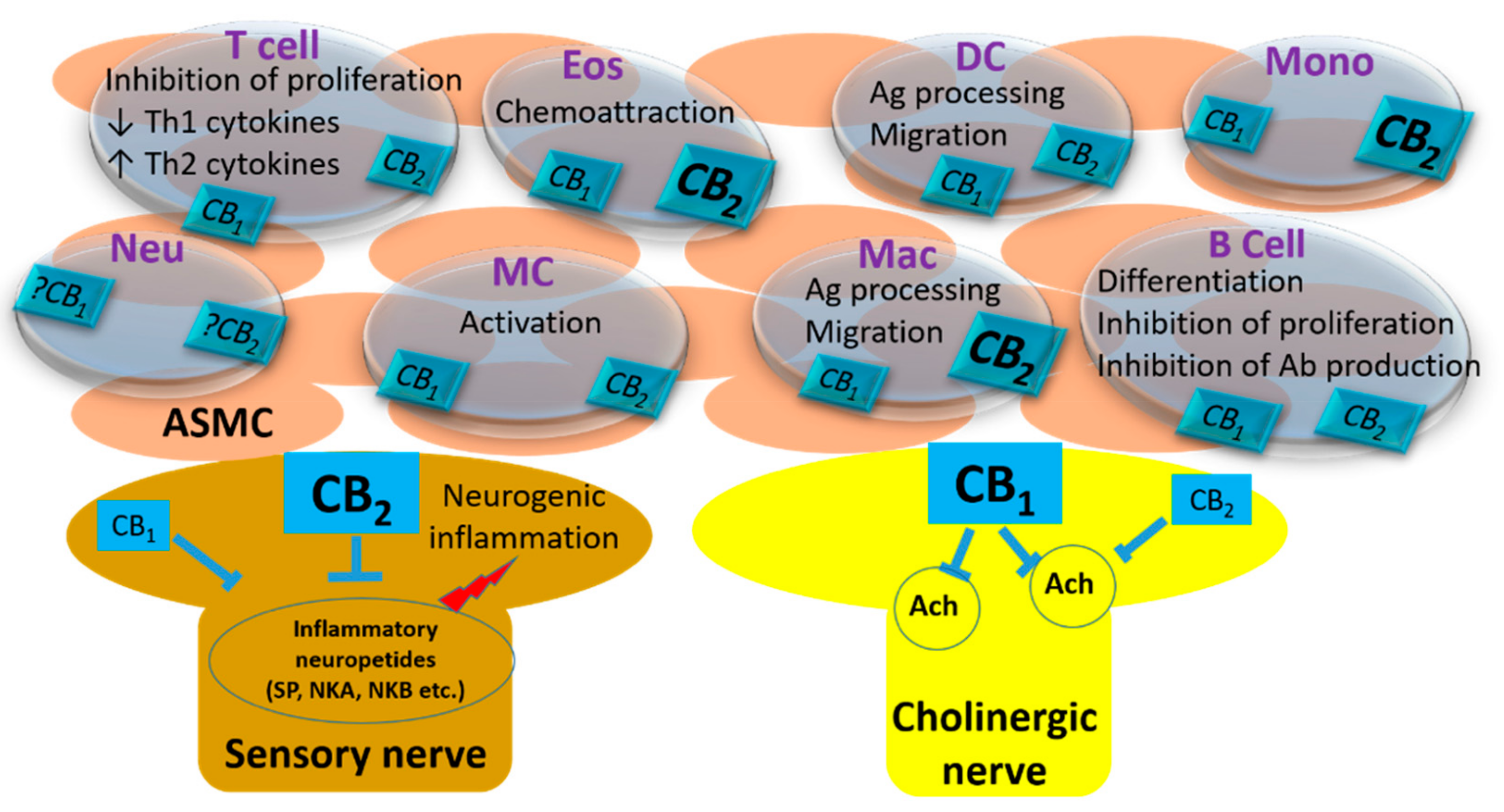 Molecules 24 04626 g001
