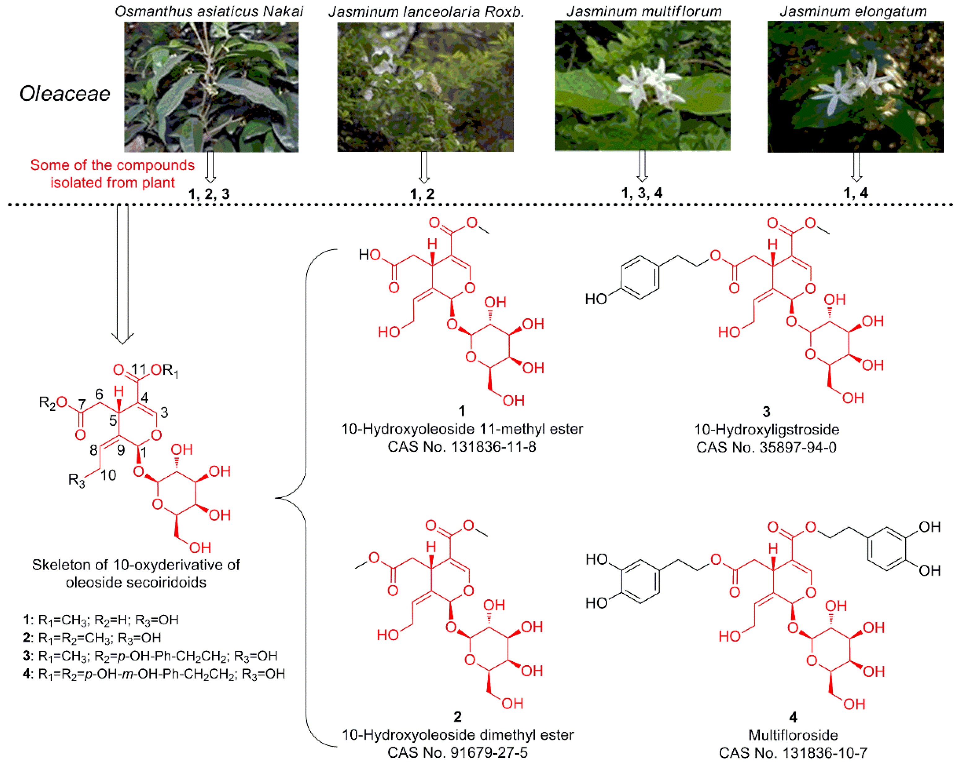 Molecules 25 00007 g001