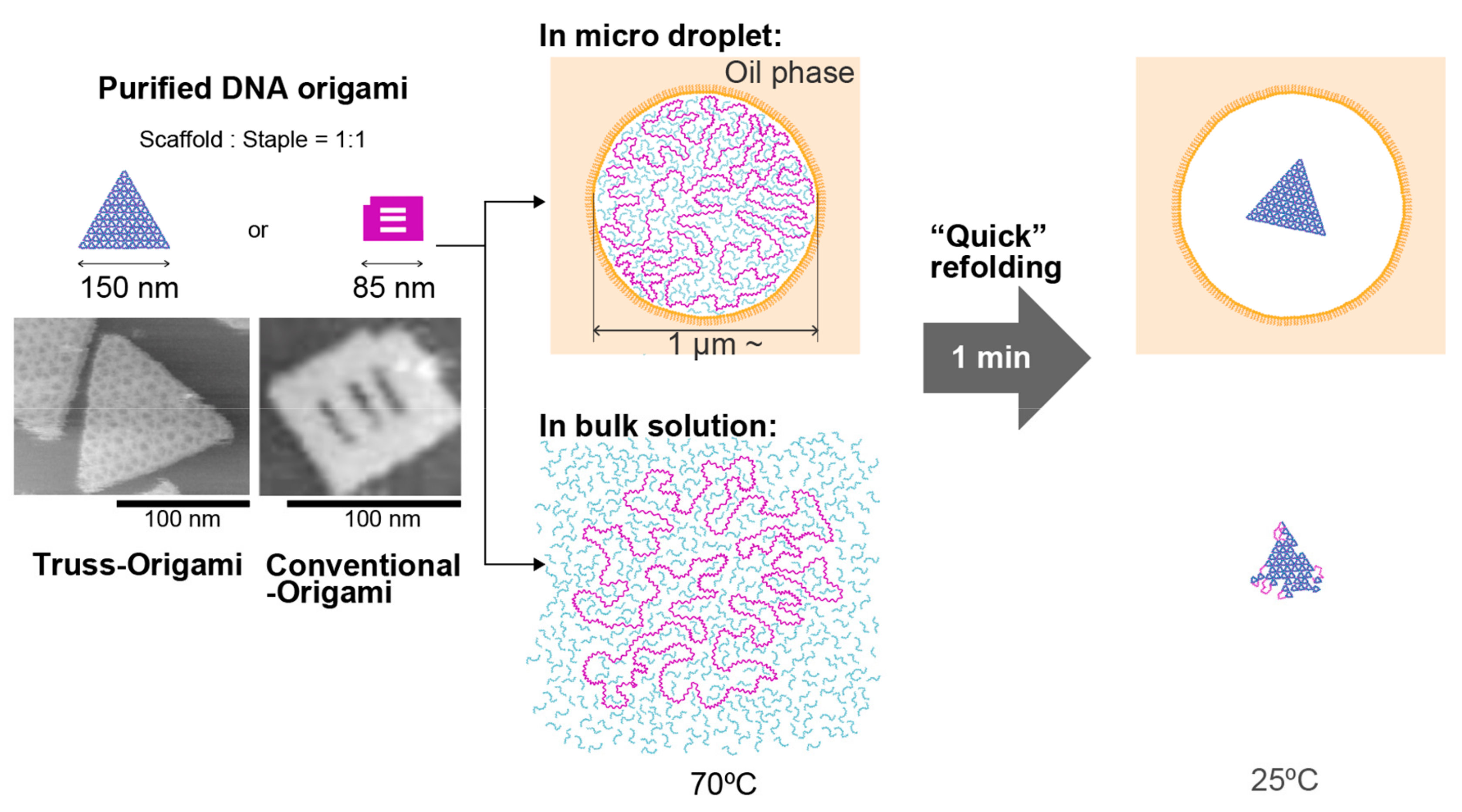 Molecules 25 00008 g001