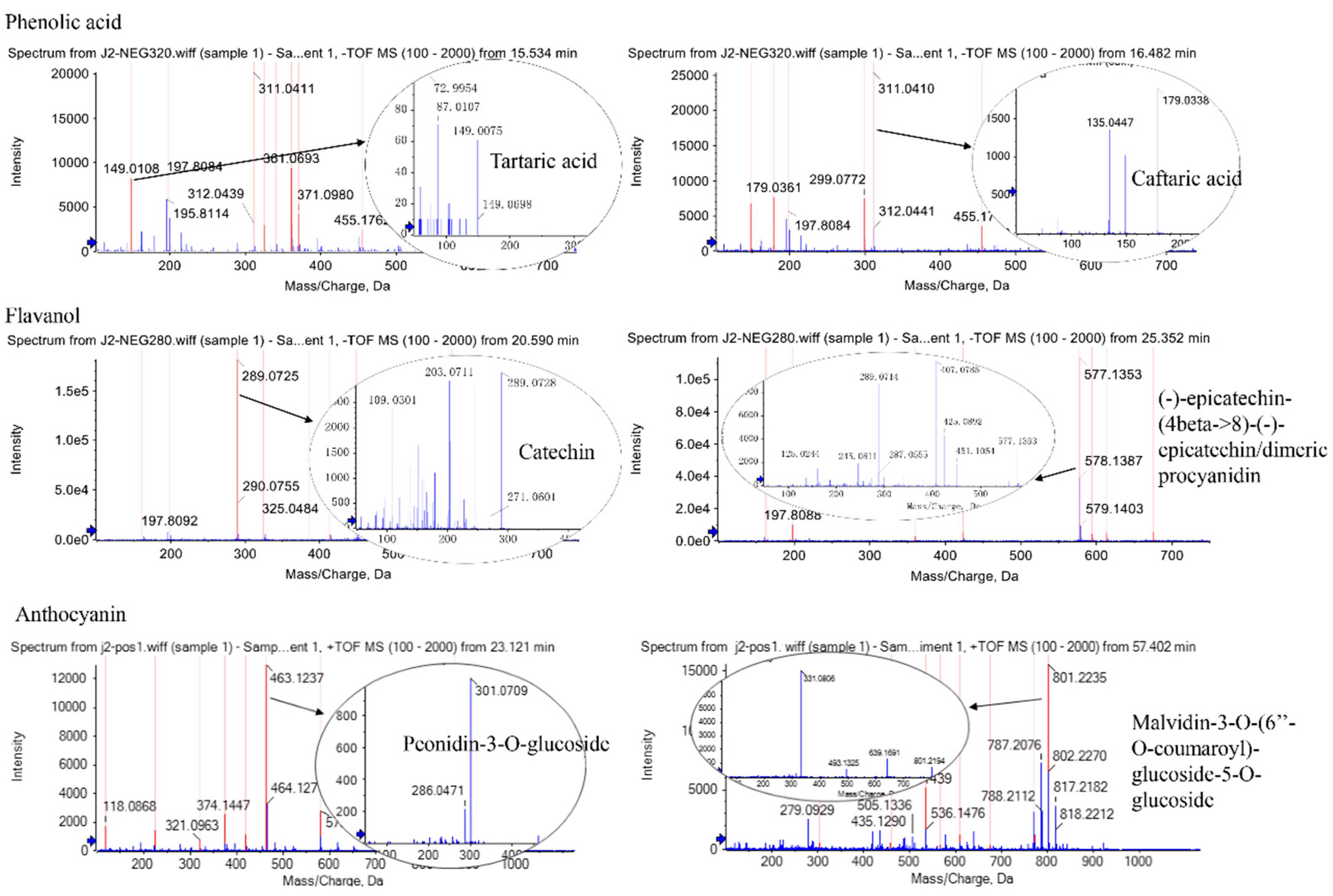Molecules 25 00012 g003 Molecules 25 00012 g003