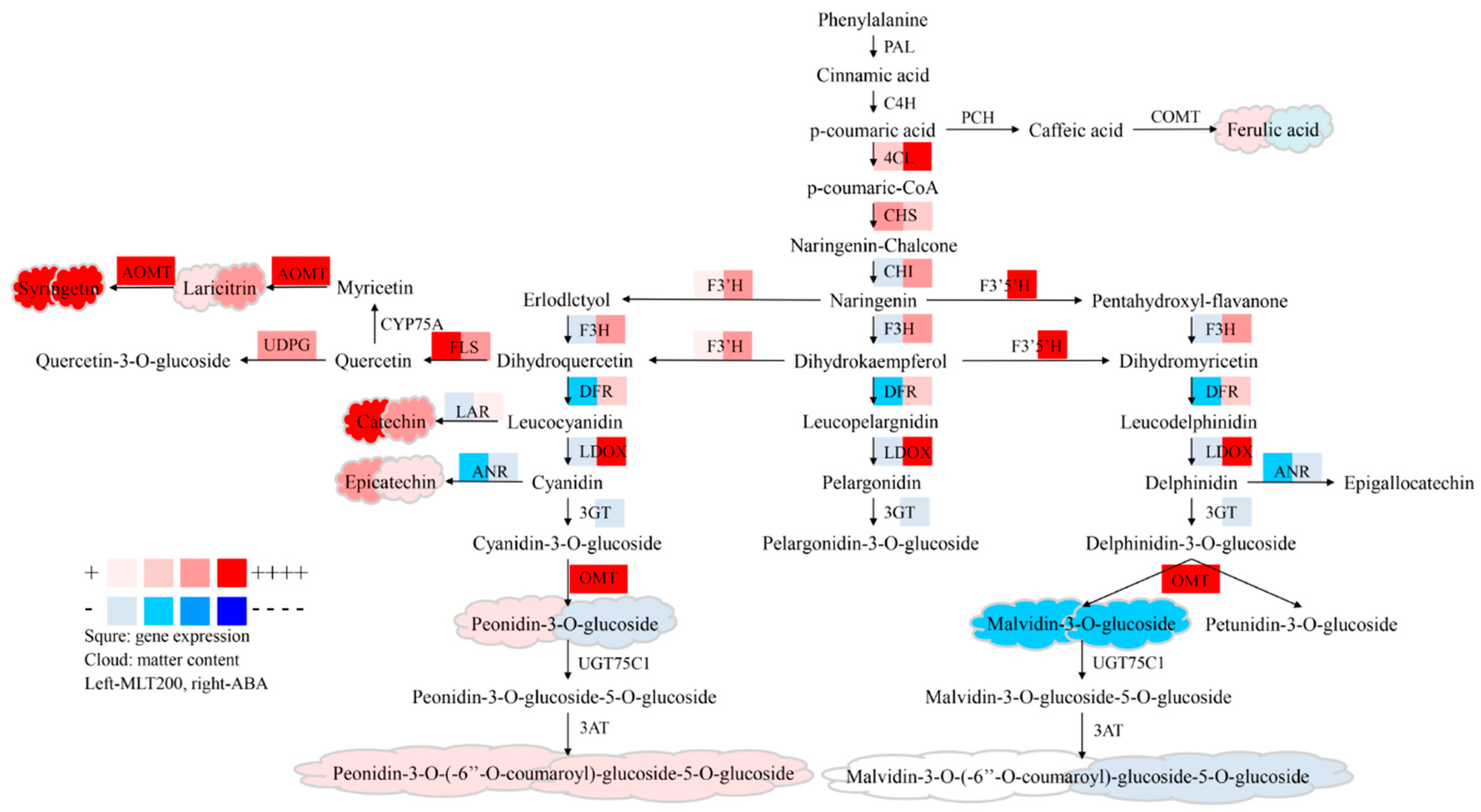 Molecules 25 00012 g005 Molecules 25 00012 g005