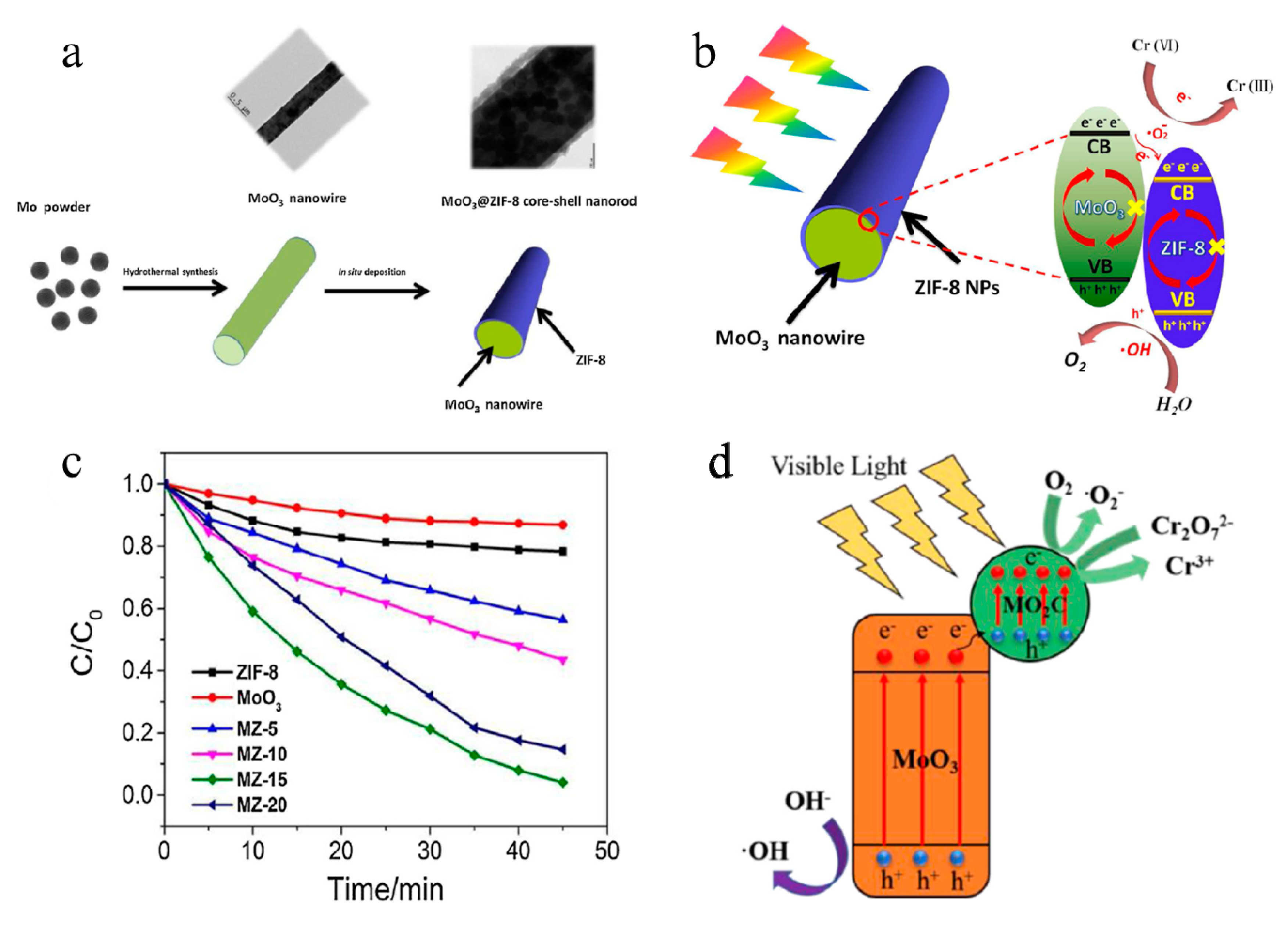 Molecules 25 00018 g008