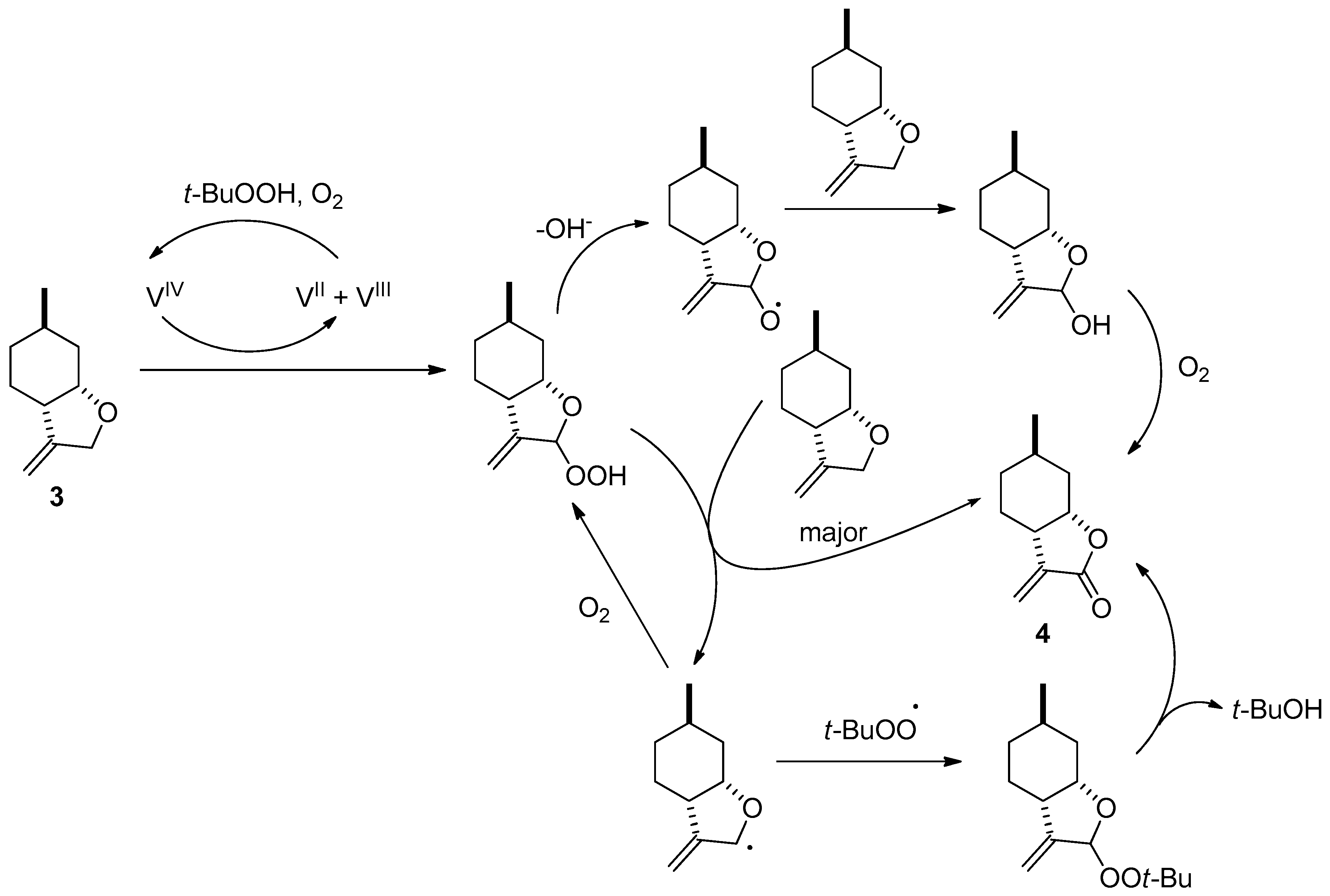 Molecules 25 00021 g002