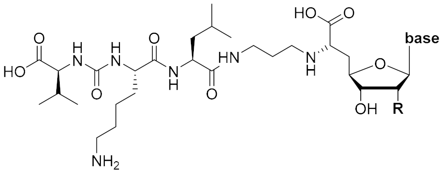 Molecules 25 00022 i001