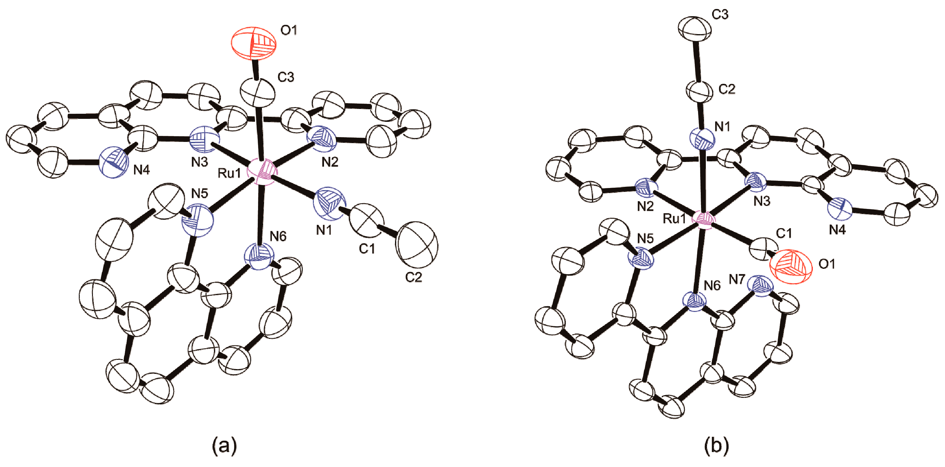 Molecules 25 00027 g005