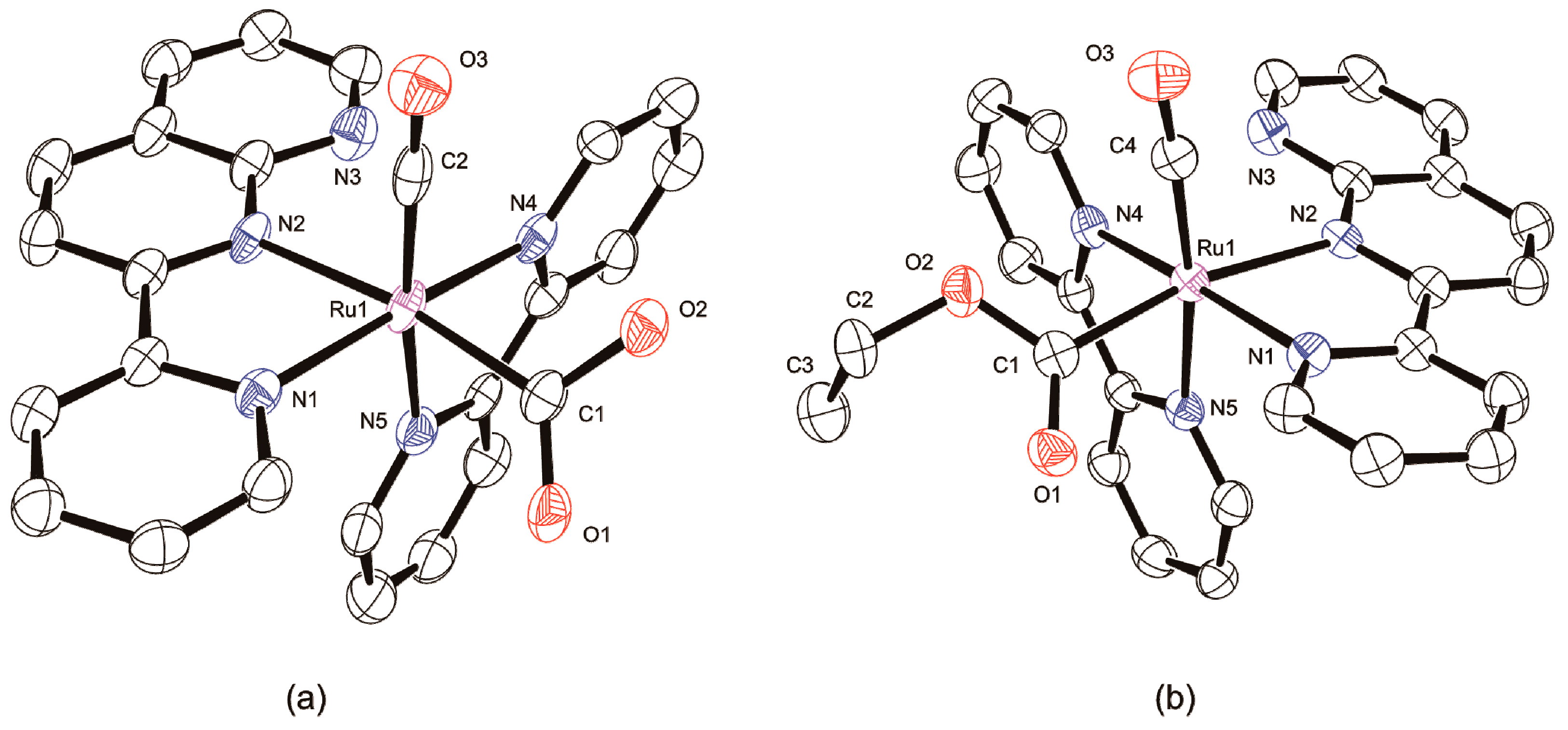 Molecules 25 00027 g006
