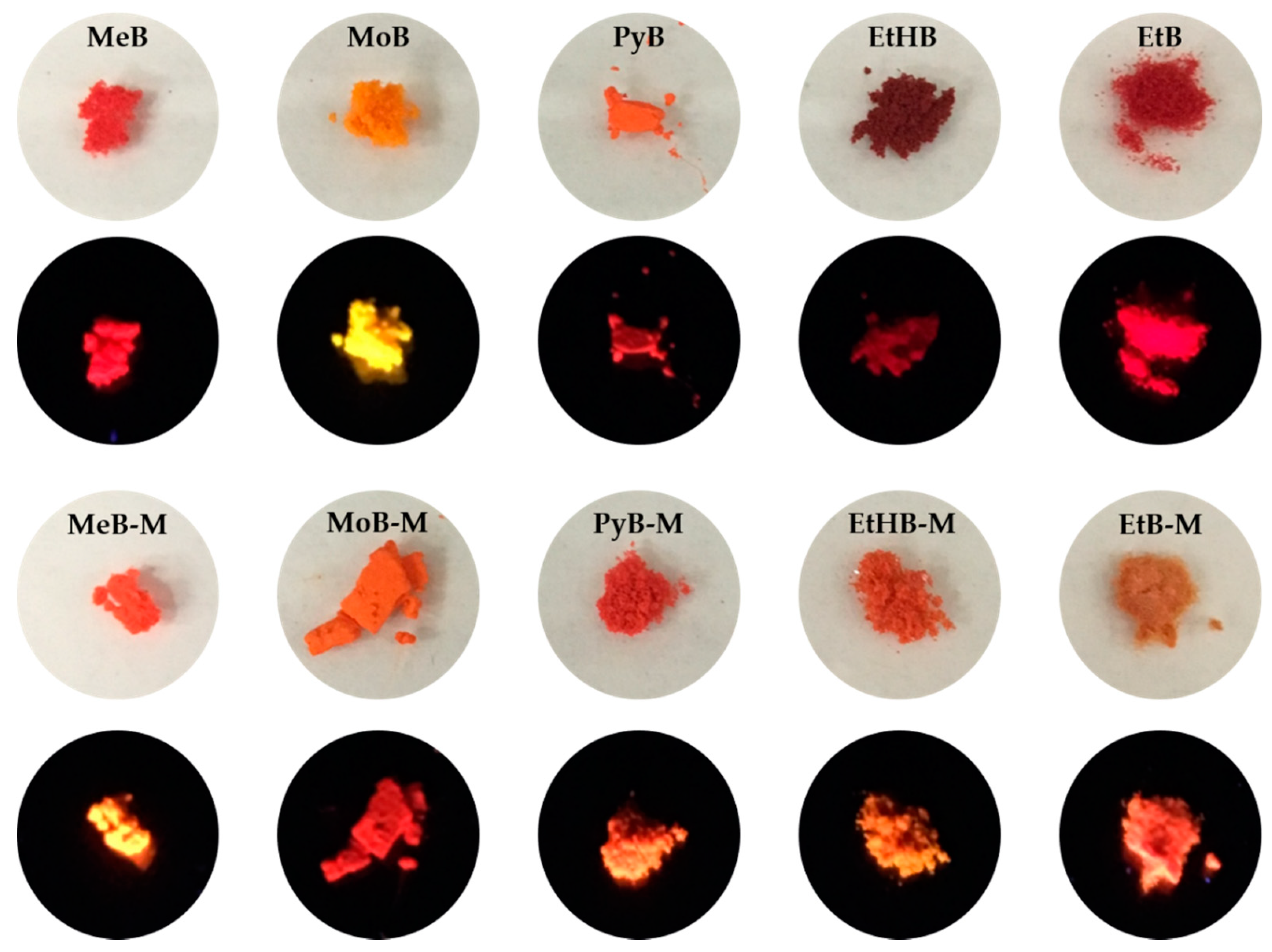 Molecules 25 00032 g003