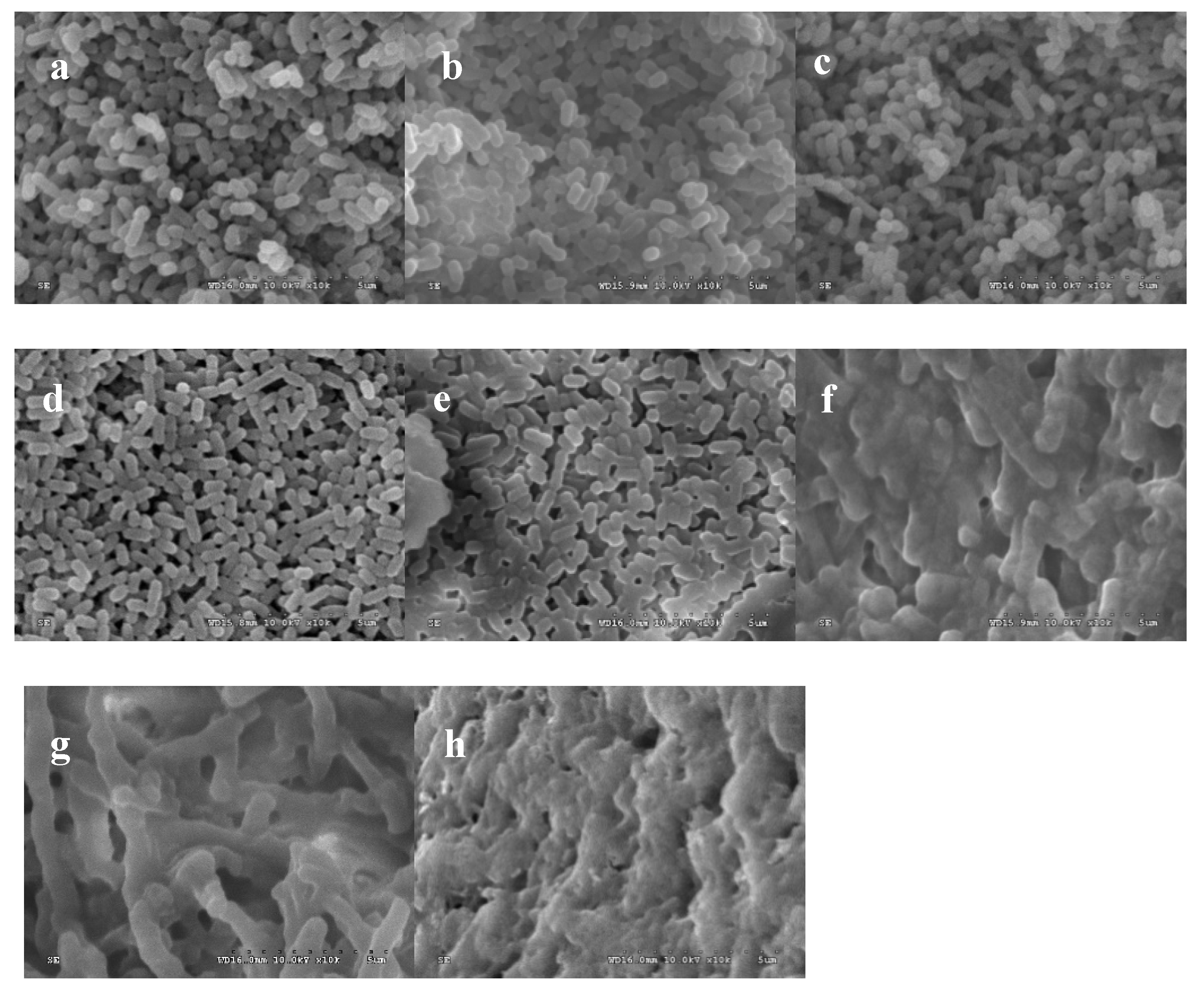 Molecules 25 00033 g002