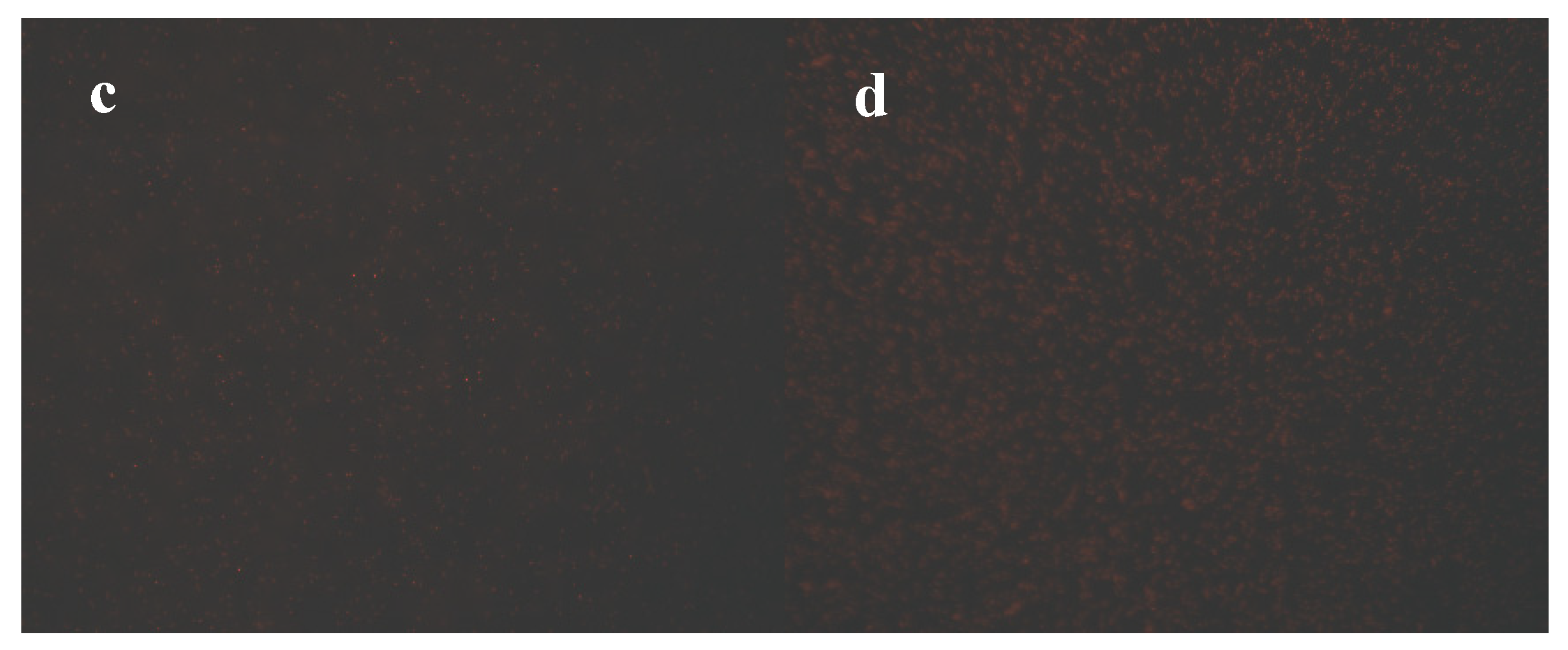 Molecules 25 00033 g004b