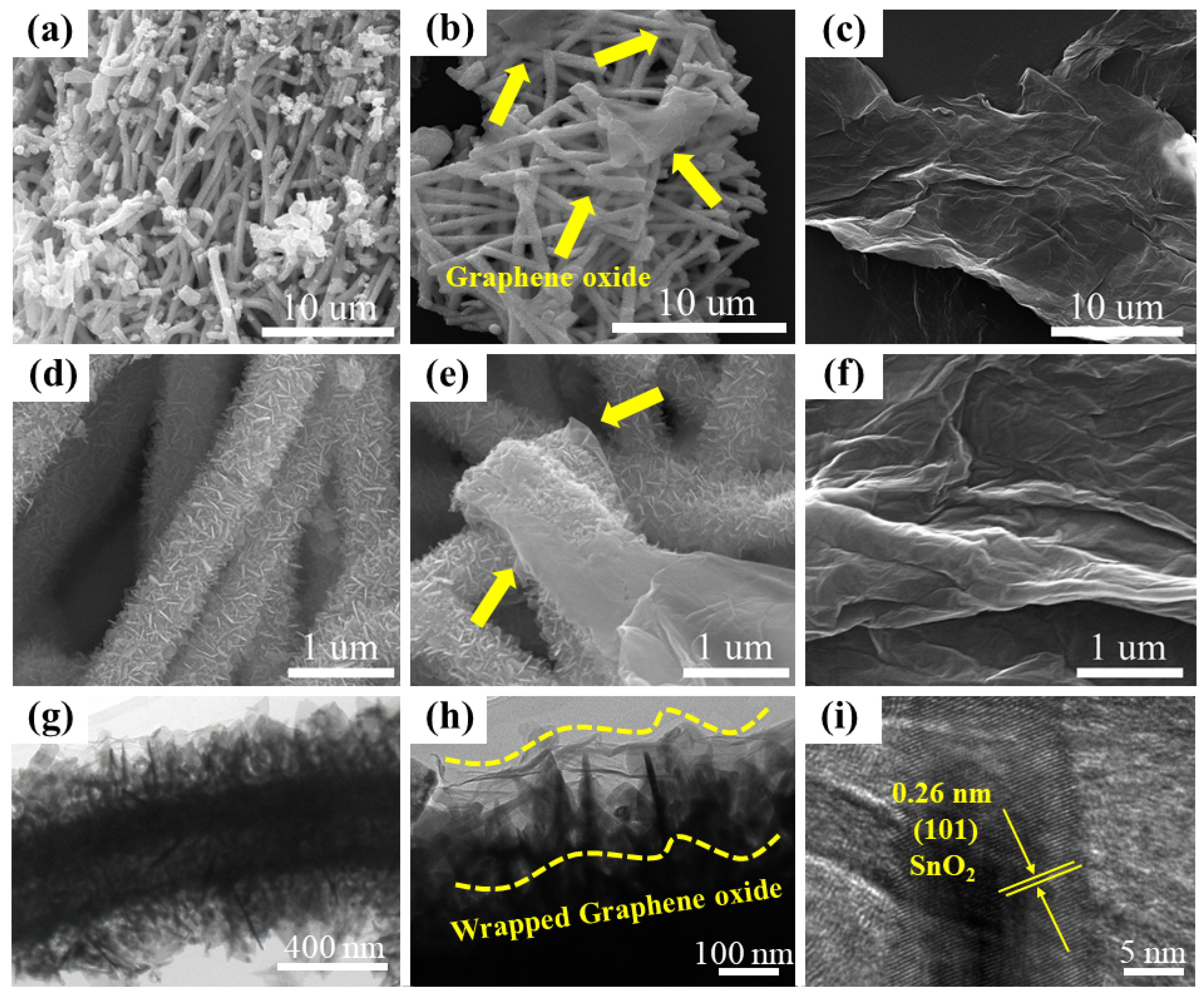 Molecules 25 00035 g003