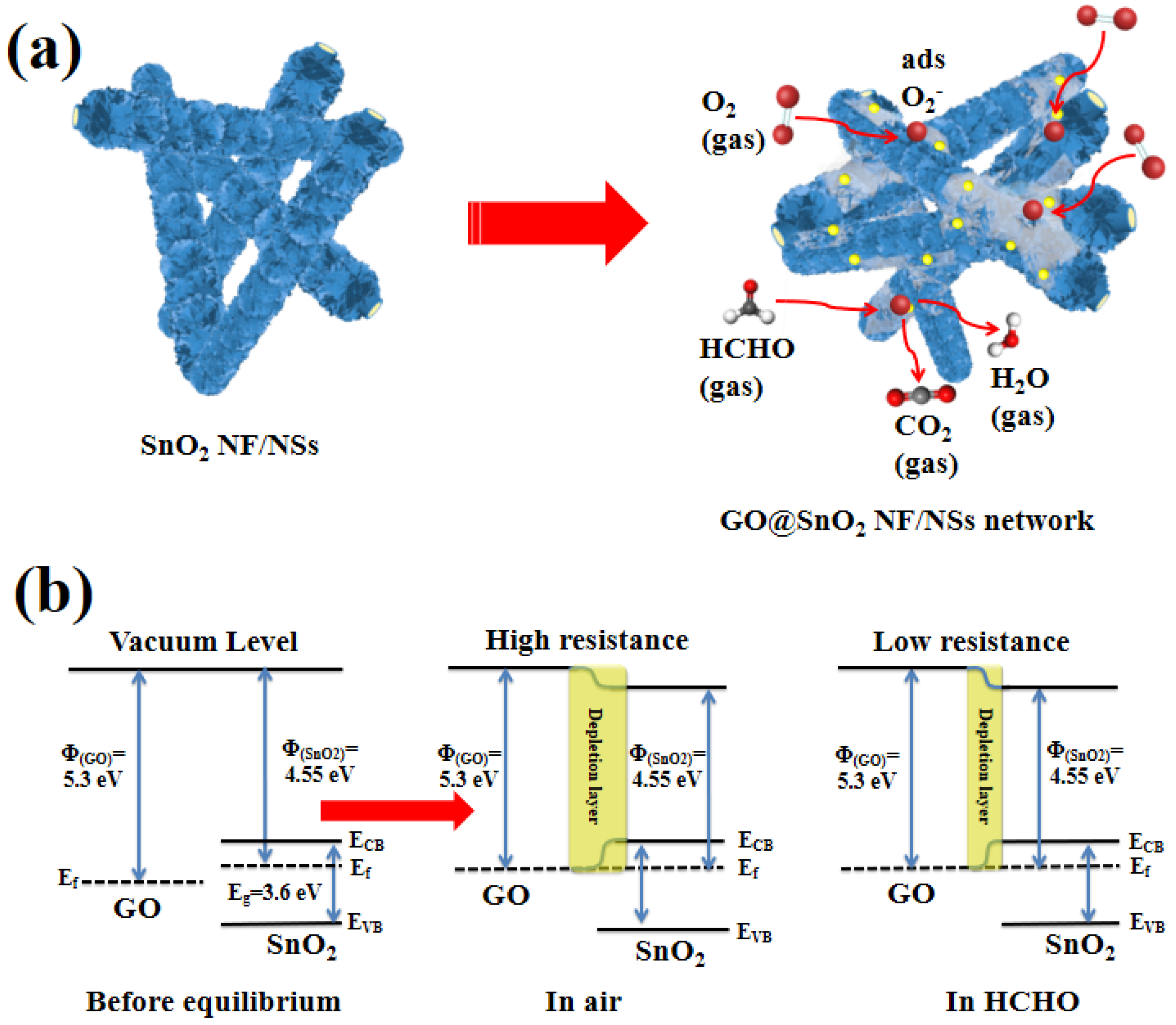 Molecules 25 00035 g006