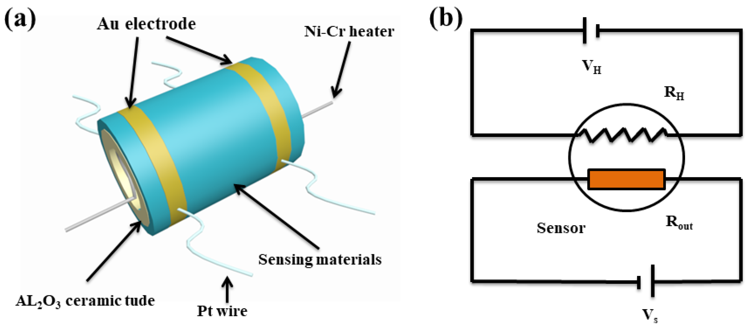 Molecules 25 00035 g007