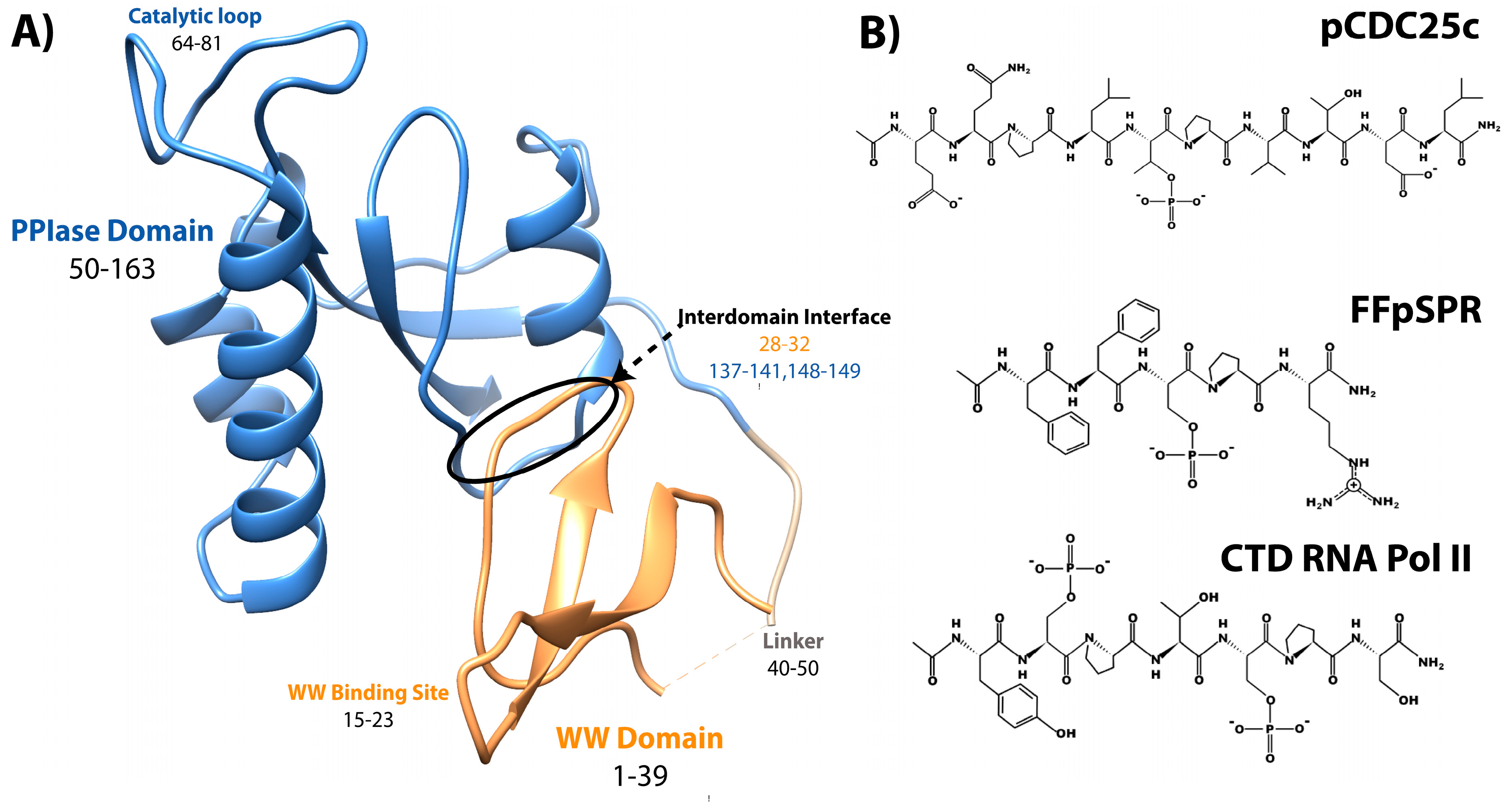 Molecules 25 00036 g001